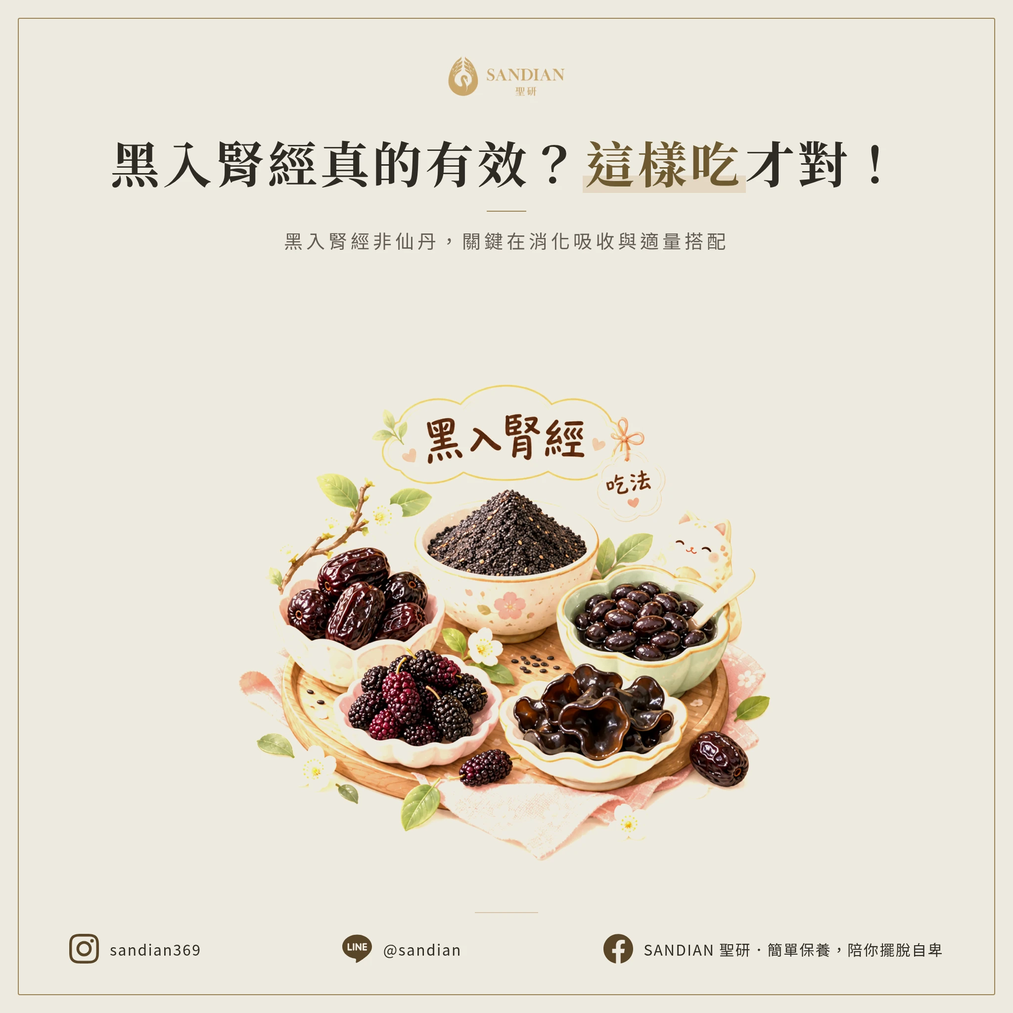 三、「黑入腎經」食療法真的有用嗎?該怎麼吃?