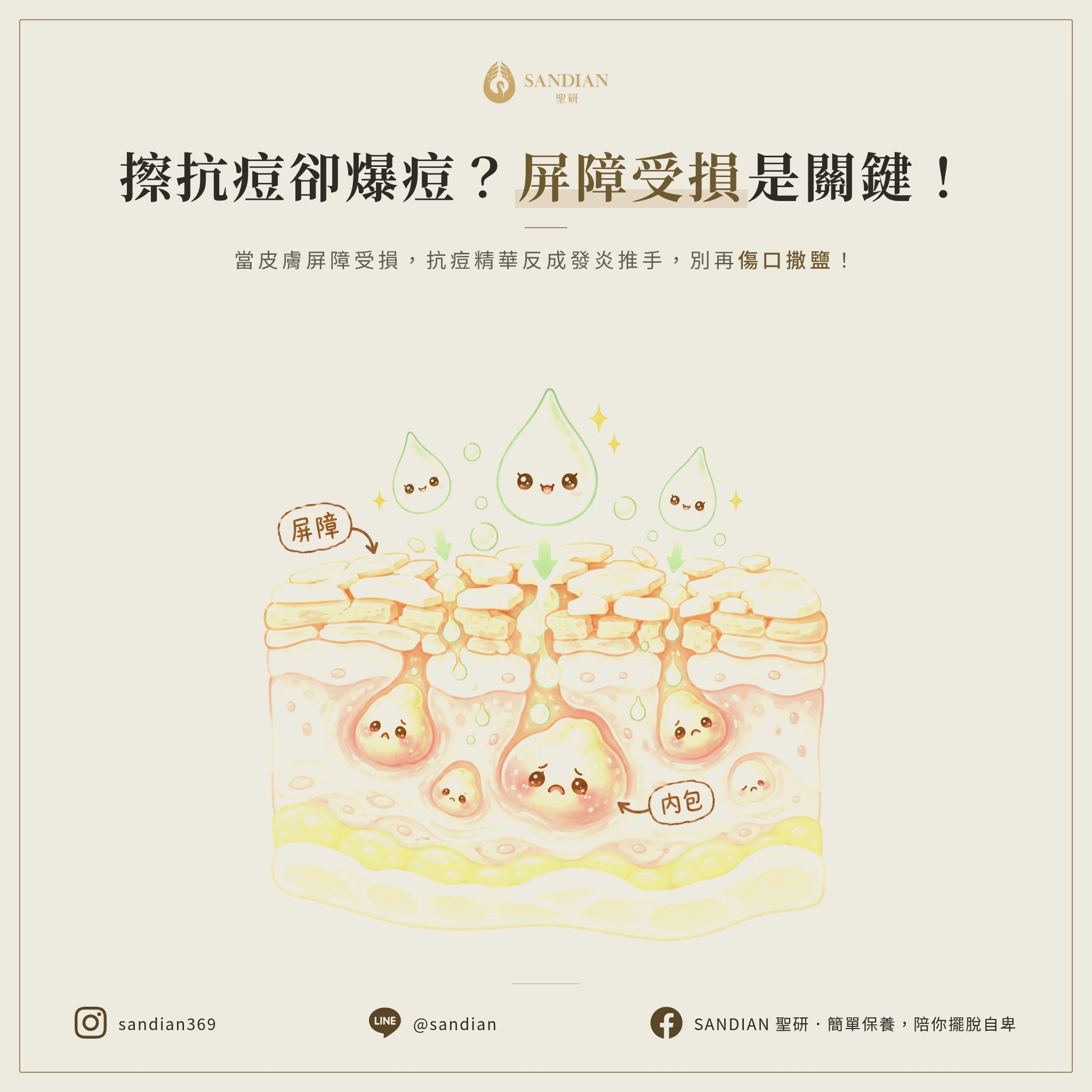 一、為什麼擦抗痘精華反而滿臉內包?