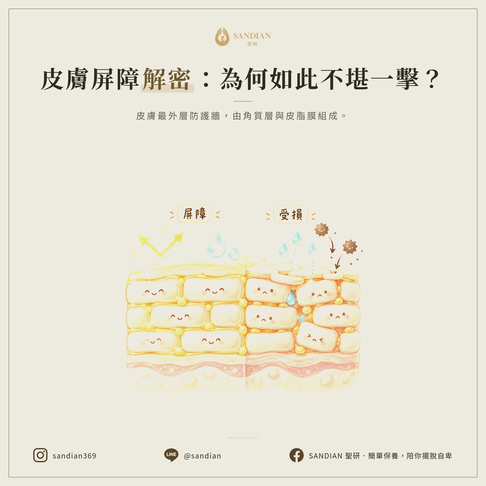 二、皮膚屏障到底是什麼?為什麼會受損?