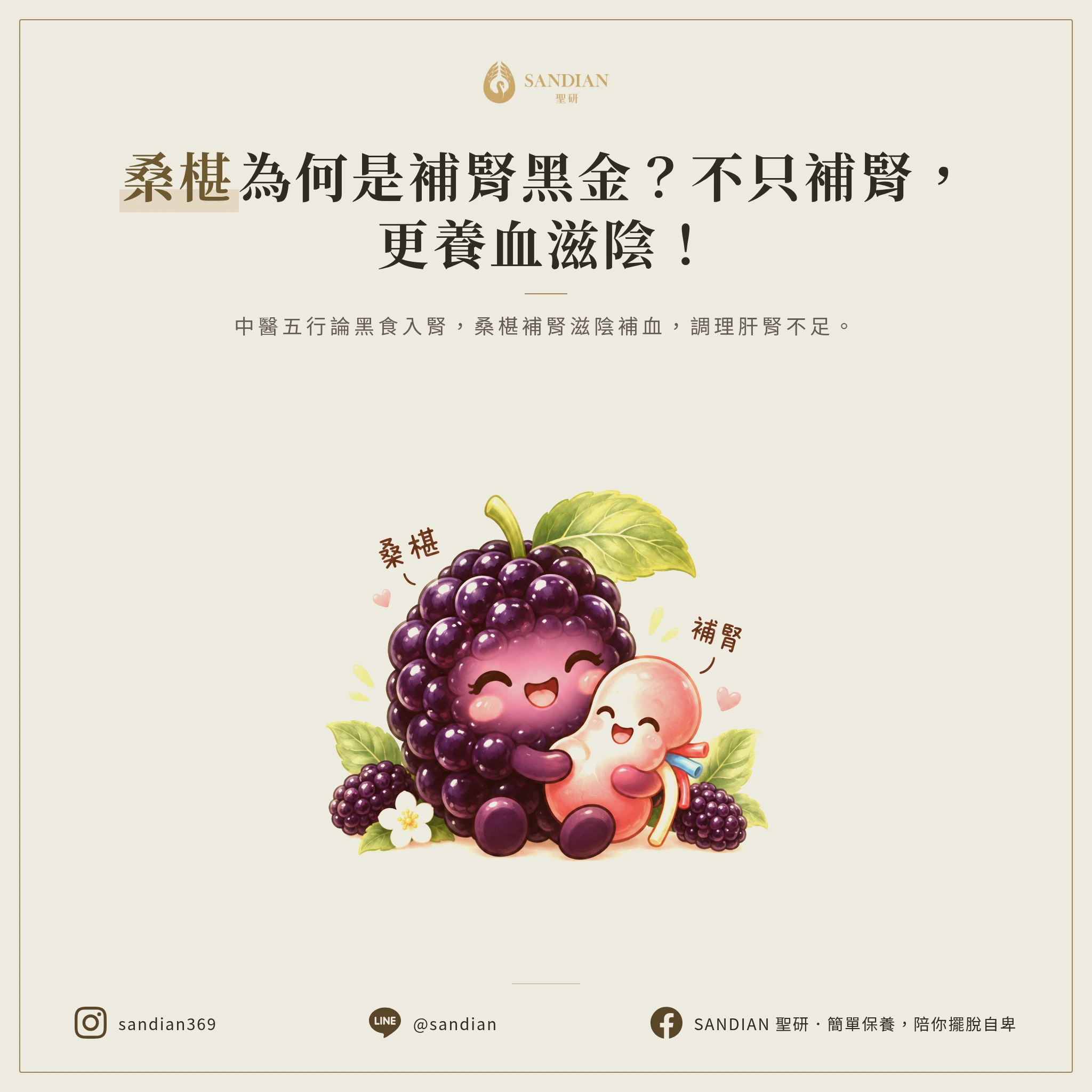 二、桑椹為什麼補腎?
