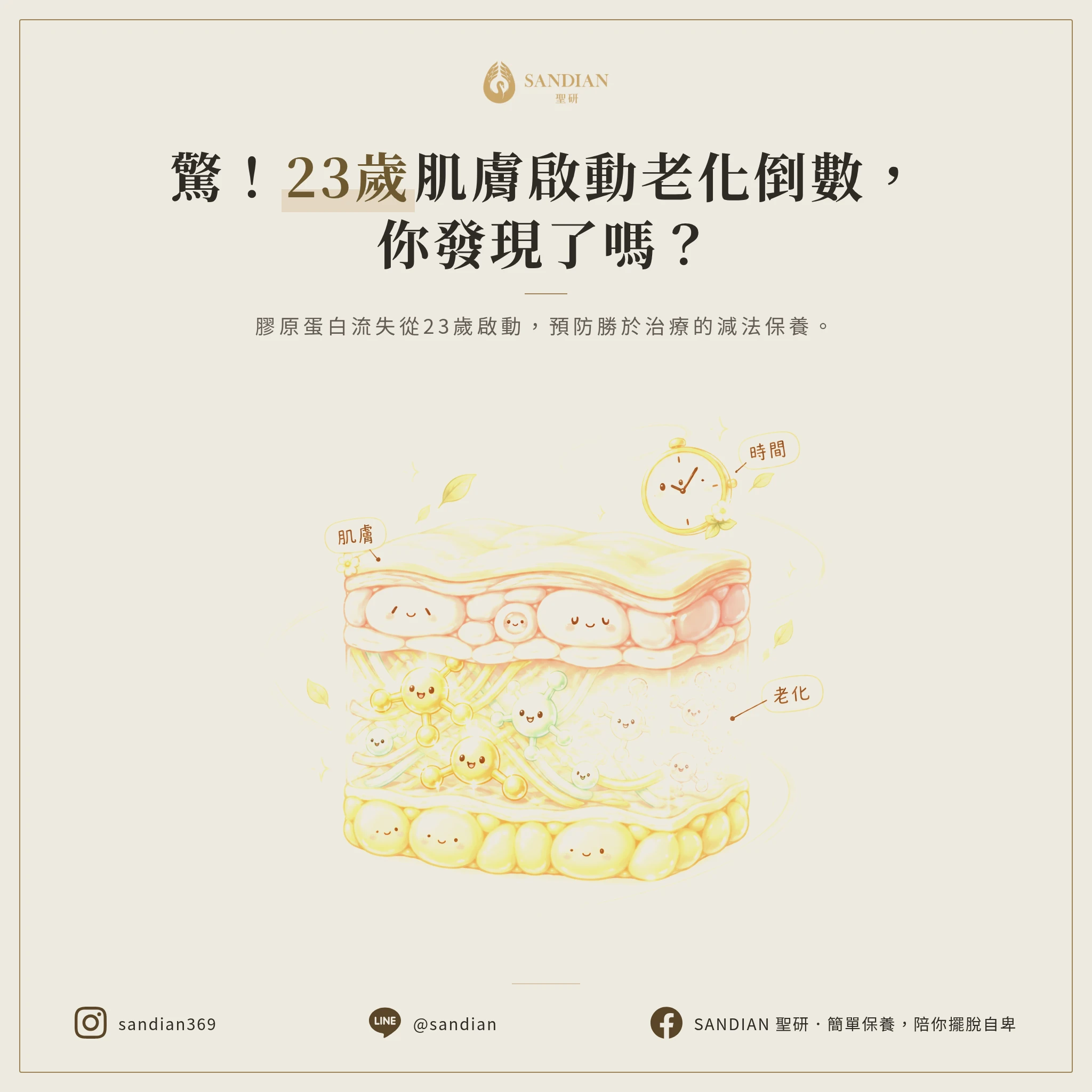 一、23歲開始老化?你的皮膚正在倒數計時