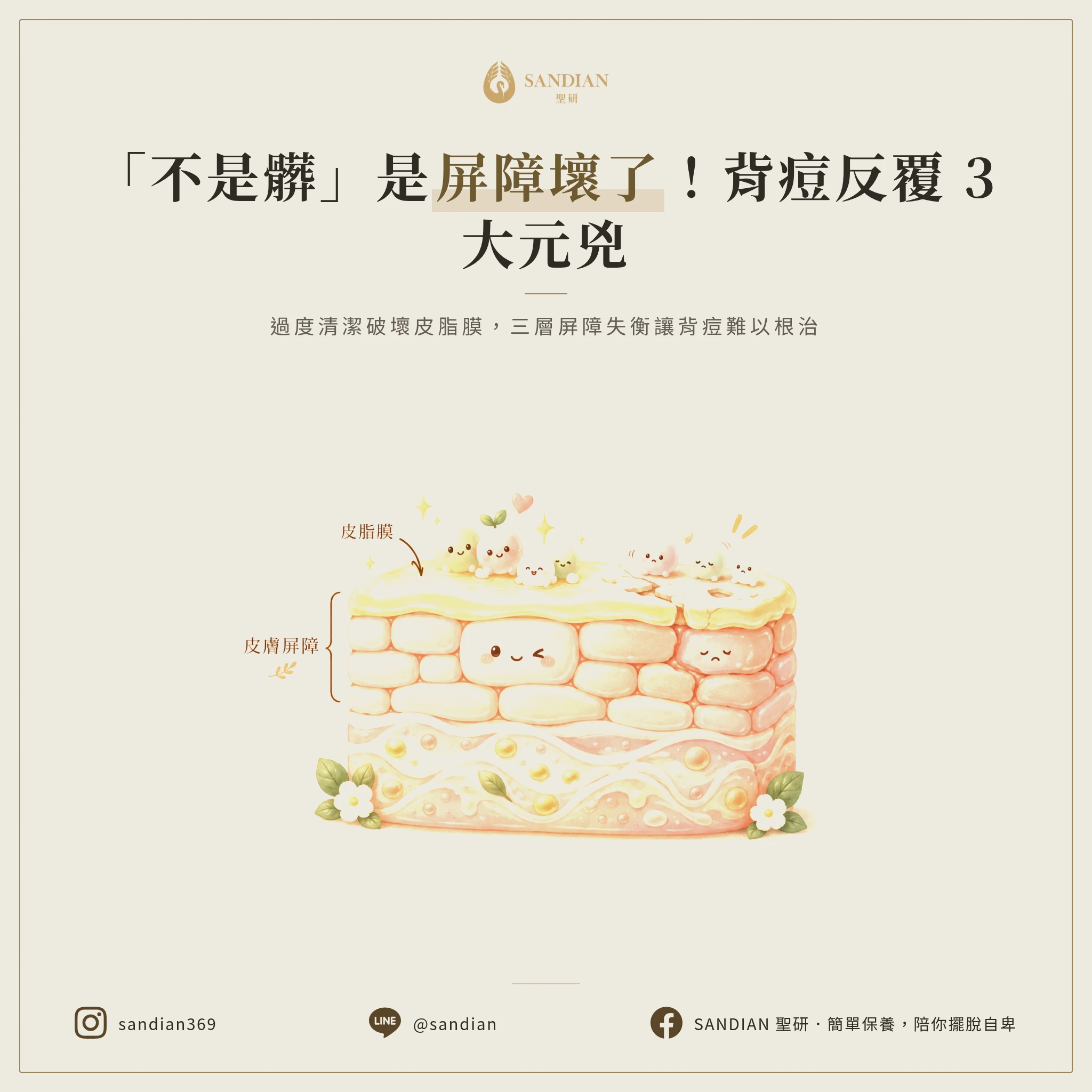 二、背痘的 3 個真正原因:不是髒,是屏障壞了