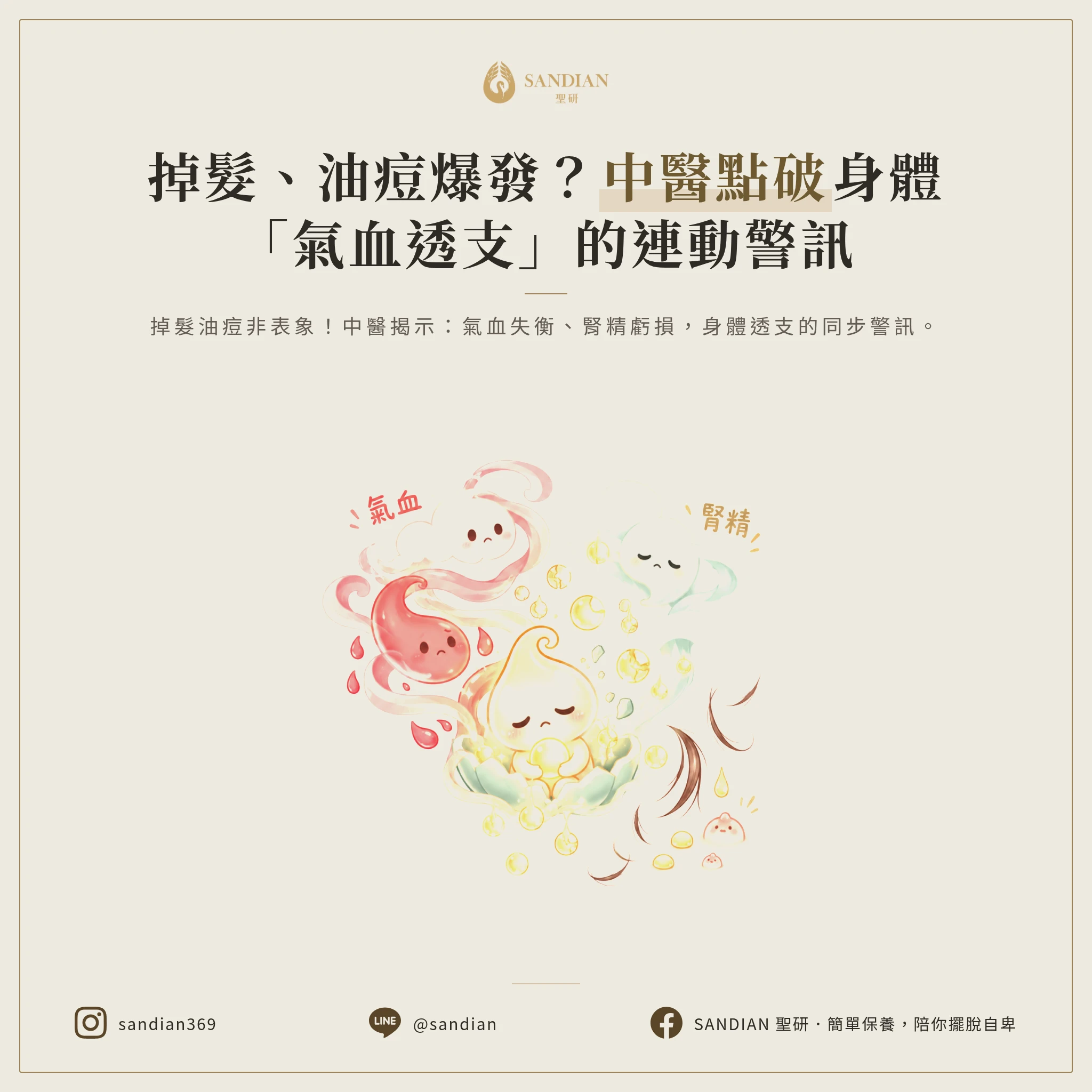 一、為什麼掉髮跟油痘會同時出現?
