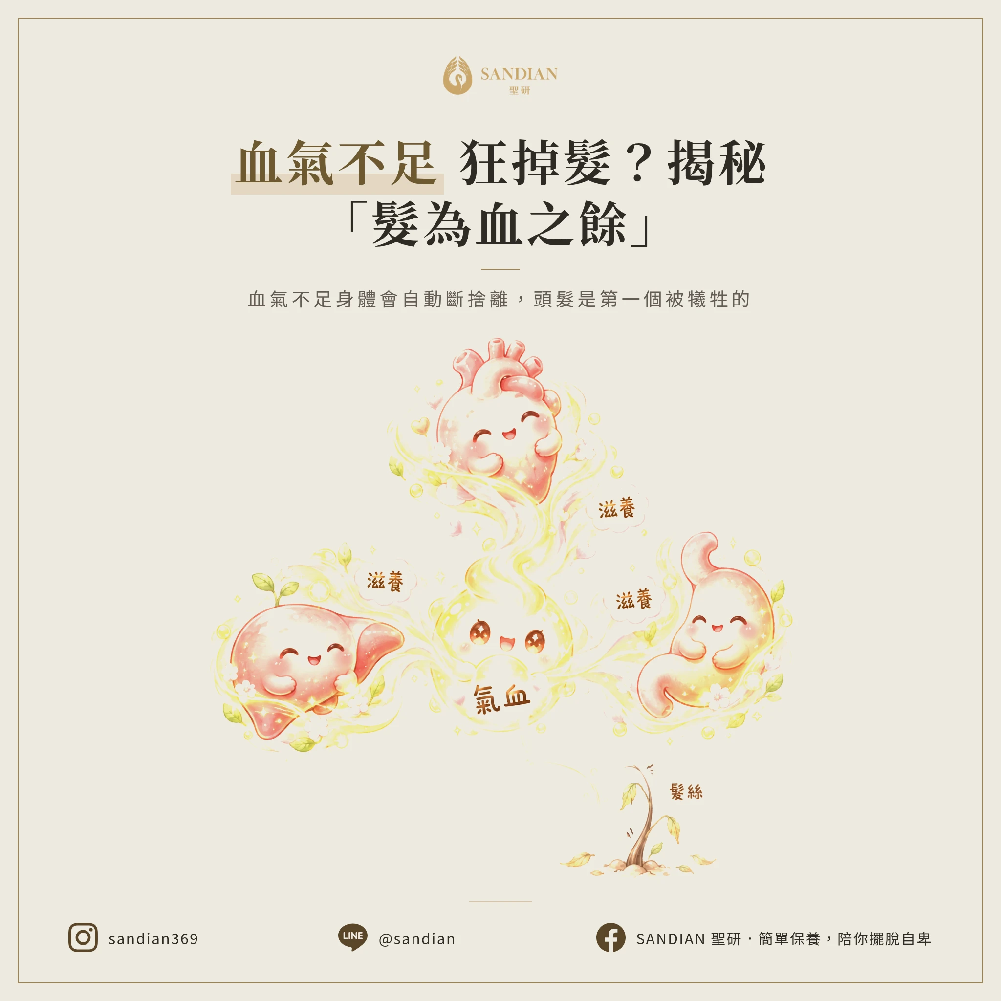 二、「髮為血之餘」到底在講什麼?