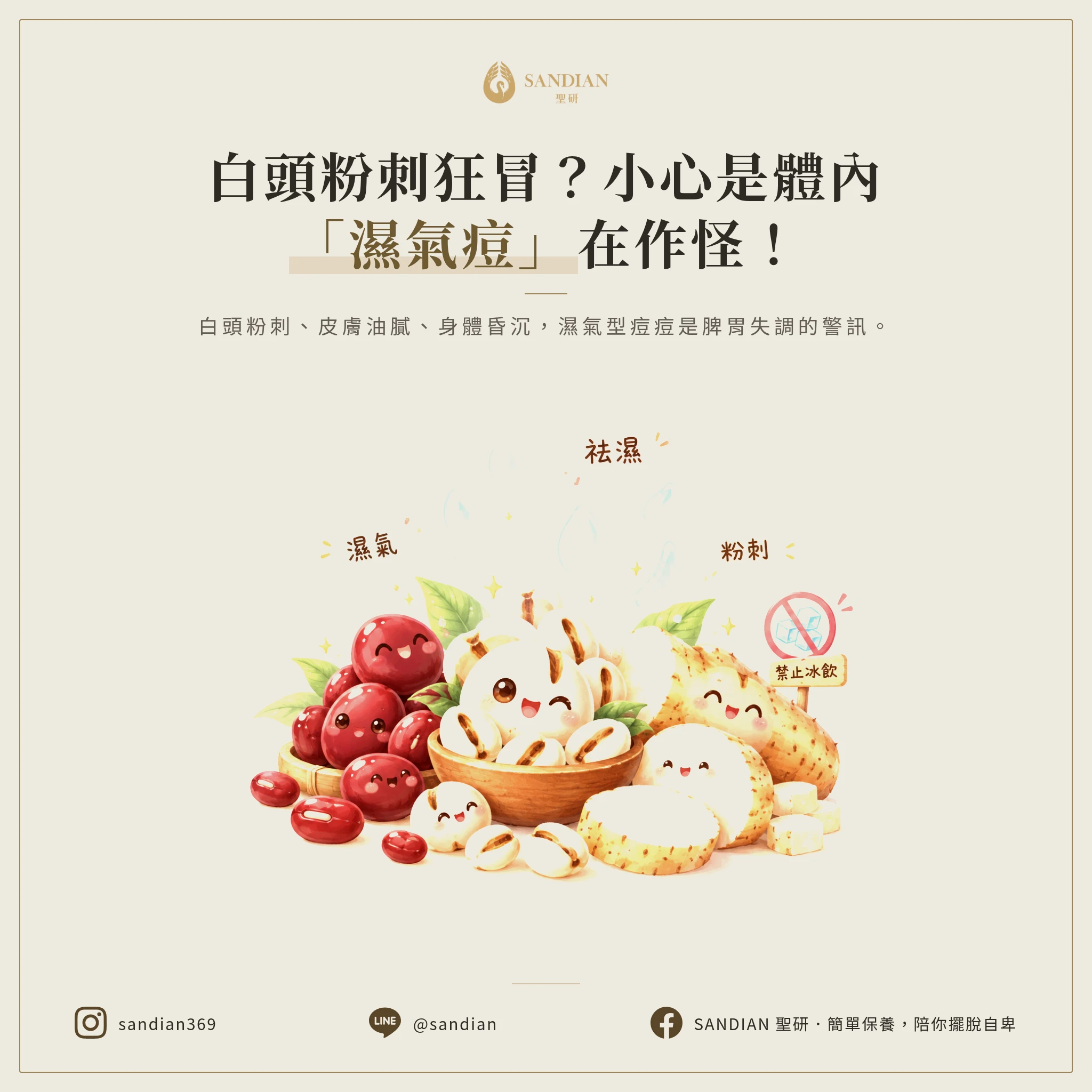 三、濕氣型痘痘:白頭粉刺、油膩、昏沉的水排不掉