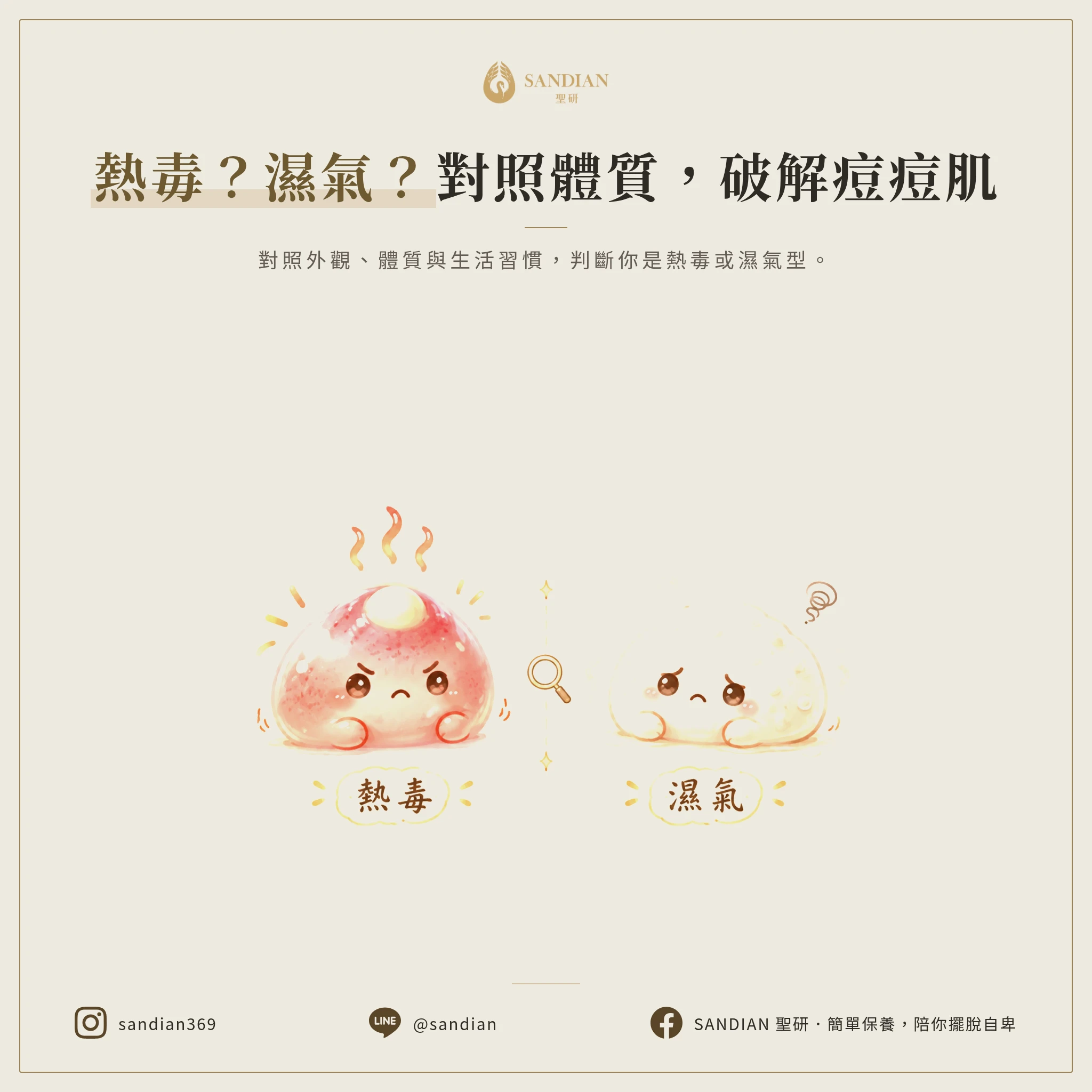 四、熱毒 vs 濕氣,從外觀到體質完整對照