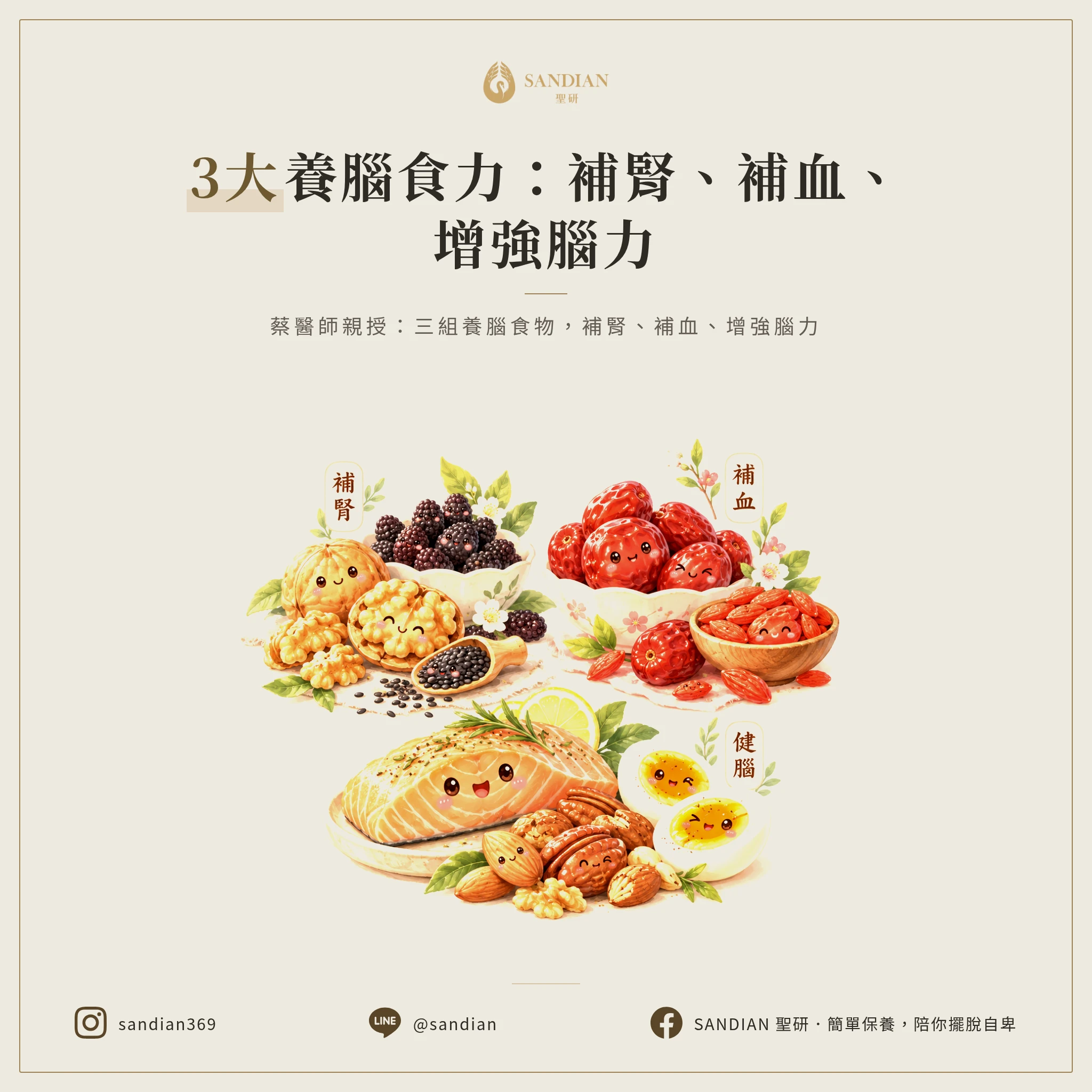 二、3大養腦食物組合:補腎、補血、補腦力