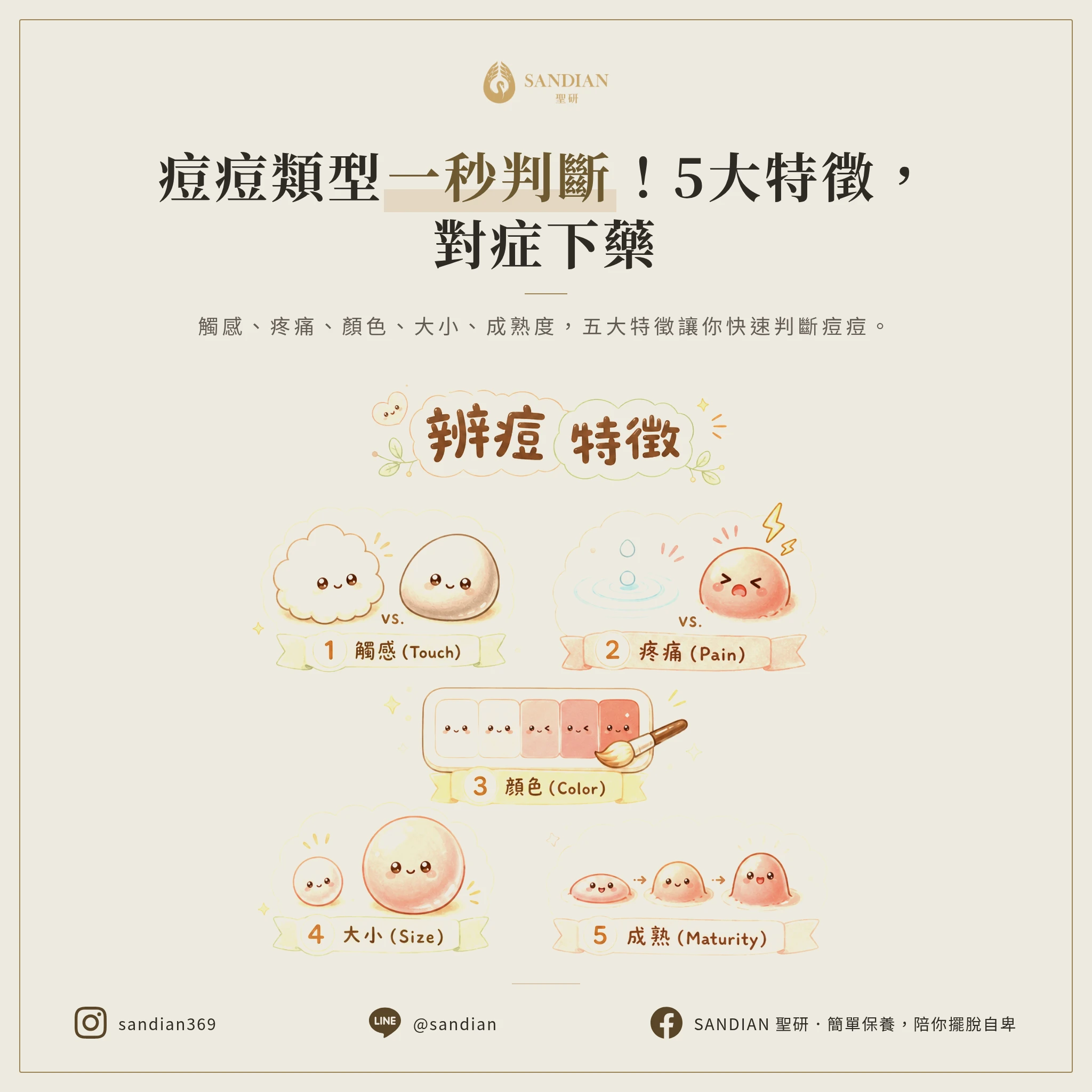 三、5 個分辨痘痘類型的關鍵特徵