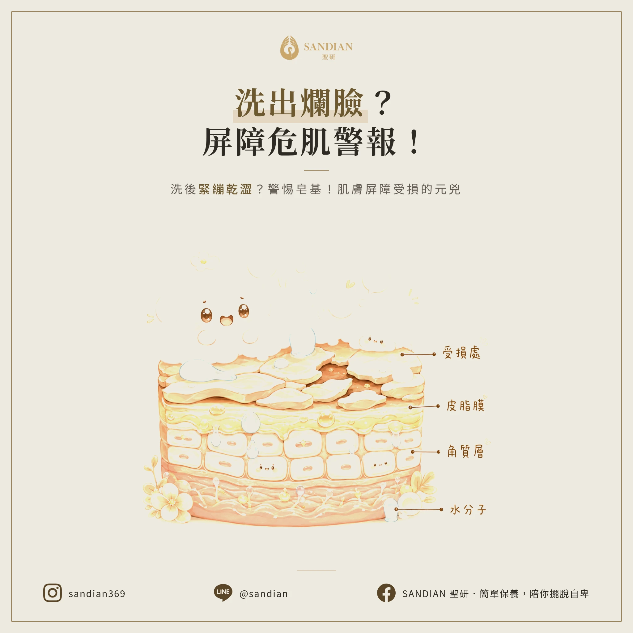臉越洗越爛？洗到「緊繃乾澀」就是皮膚屏障受損！別再用皂基洗面乳