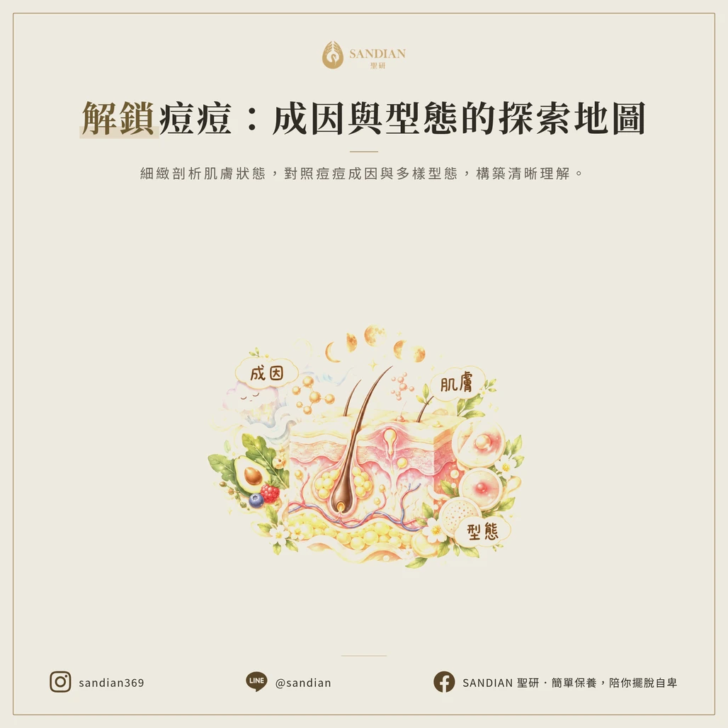 深度診斷：從成因到型態的全方位對照表