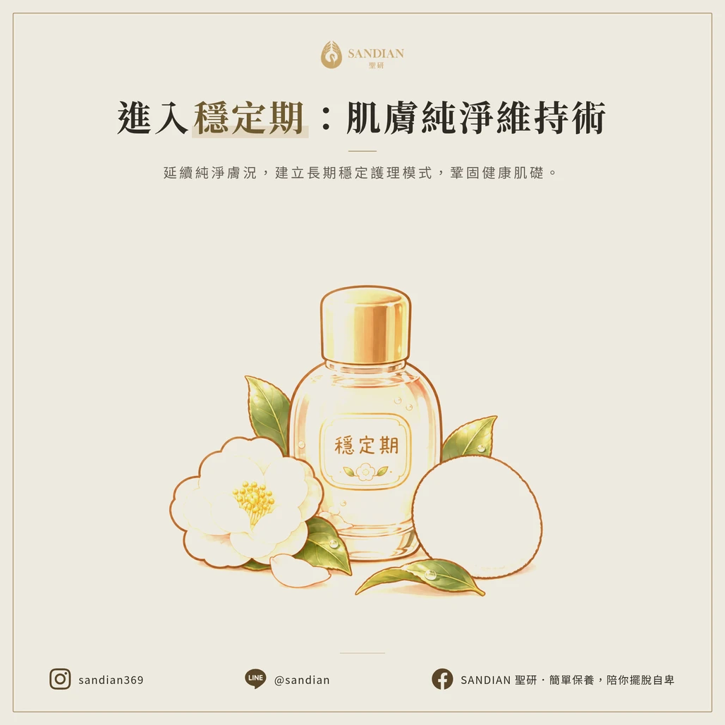 3. 第三階段：穩定期（第 8-14 天）