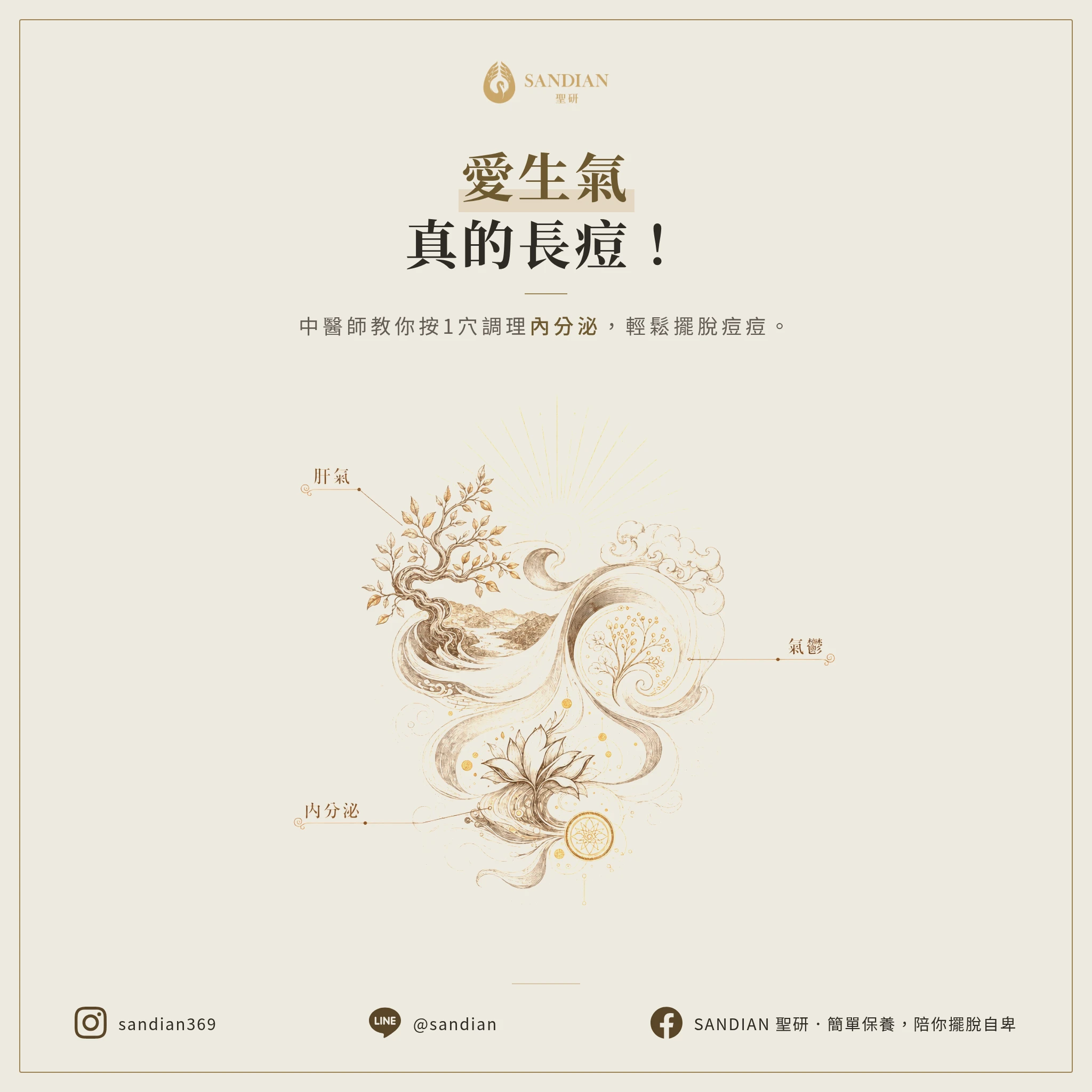 愛生氣長痘痘是真的！中醫師教你按1個消氣穴調理內分泌