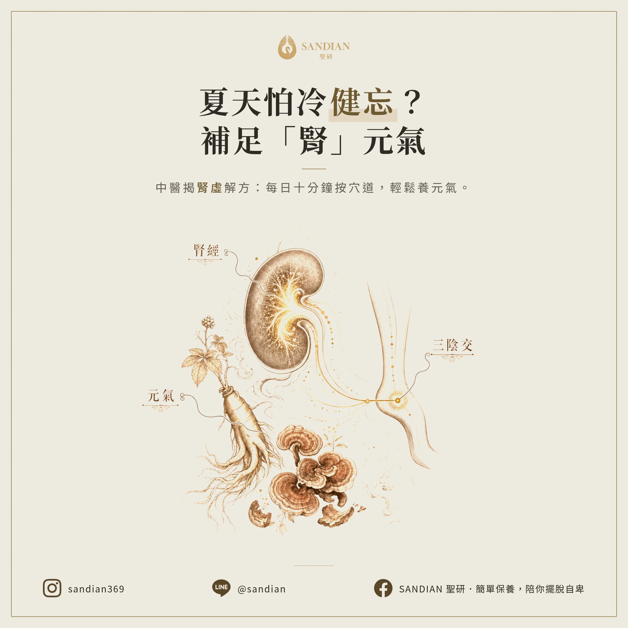 夏天怕冷又常忘東忘西？中醫師揭秘「腎虛」危機，每天 10 分鐘按壓這穴道補足元氣！