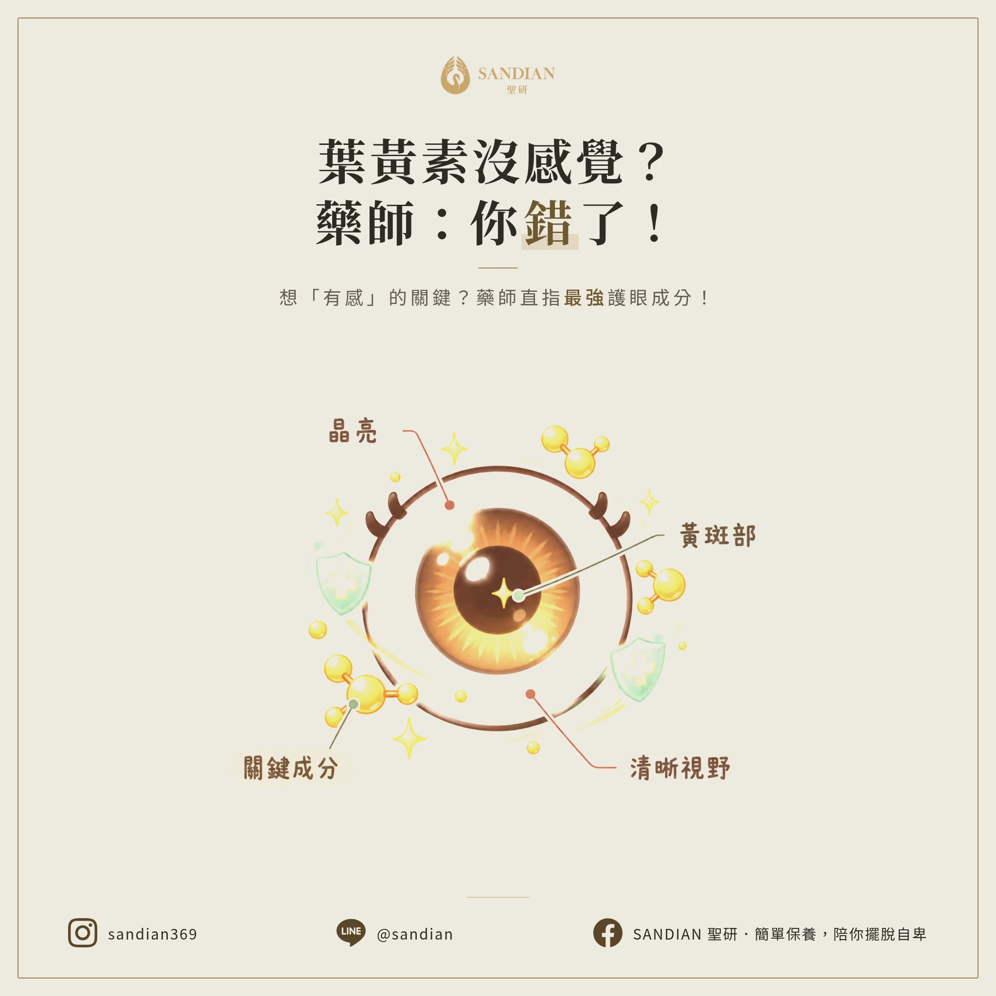 葉黃素吃了沒感覺？藥師直接說：你從頭到尾都搞錯了！想「有感」該吃的是它