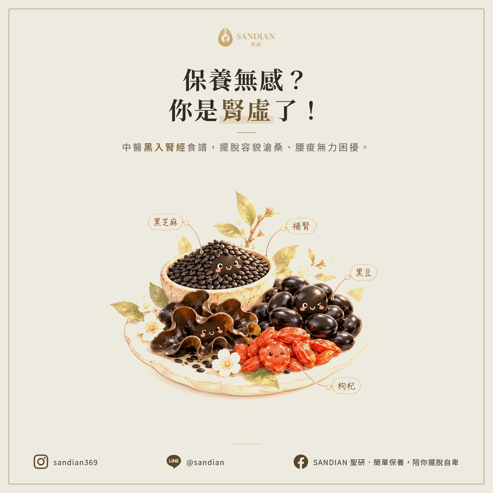 擦保養品沒用？你不是老，是腎虛了！中醫揭秘「黑入腎經」食譜，改善容貌滄桑、腰痠無力
