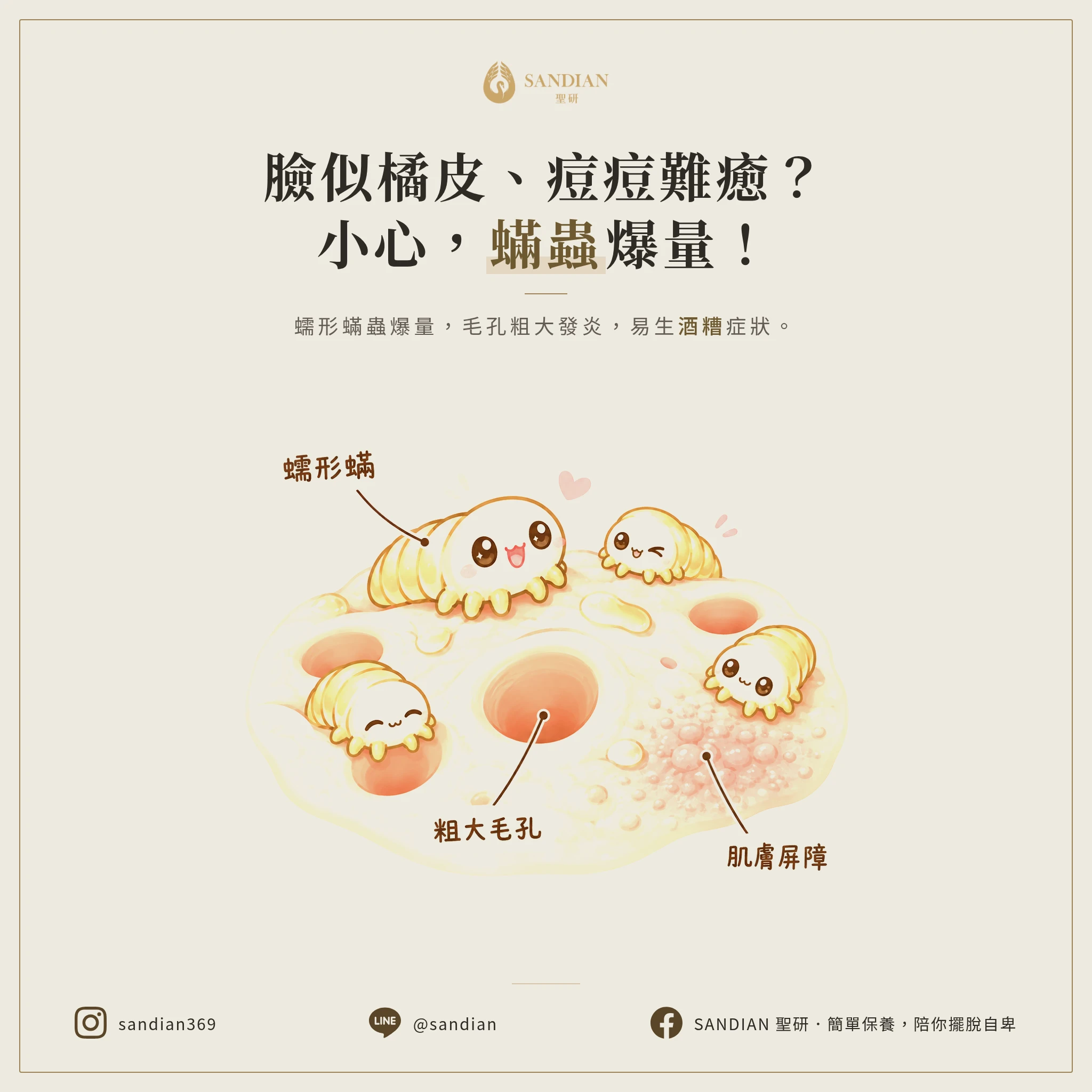 臉像橘子皮、痘痘好不了？可能不是長痘，是蠕形蟎蟲爆量