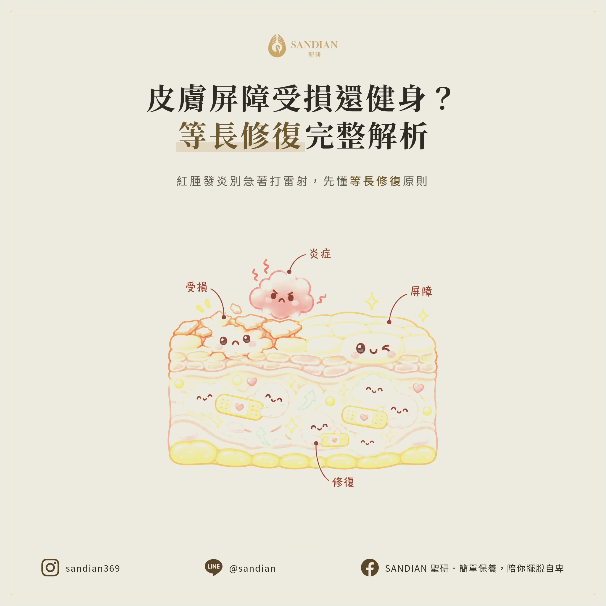 皮膚屏障受損還健身？紅腫發炎期別打雷射！等長修復原則完整解析