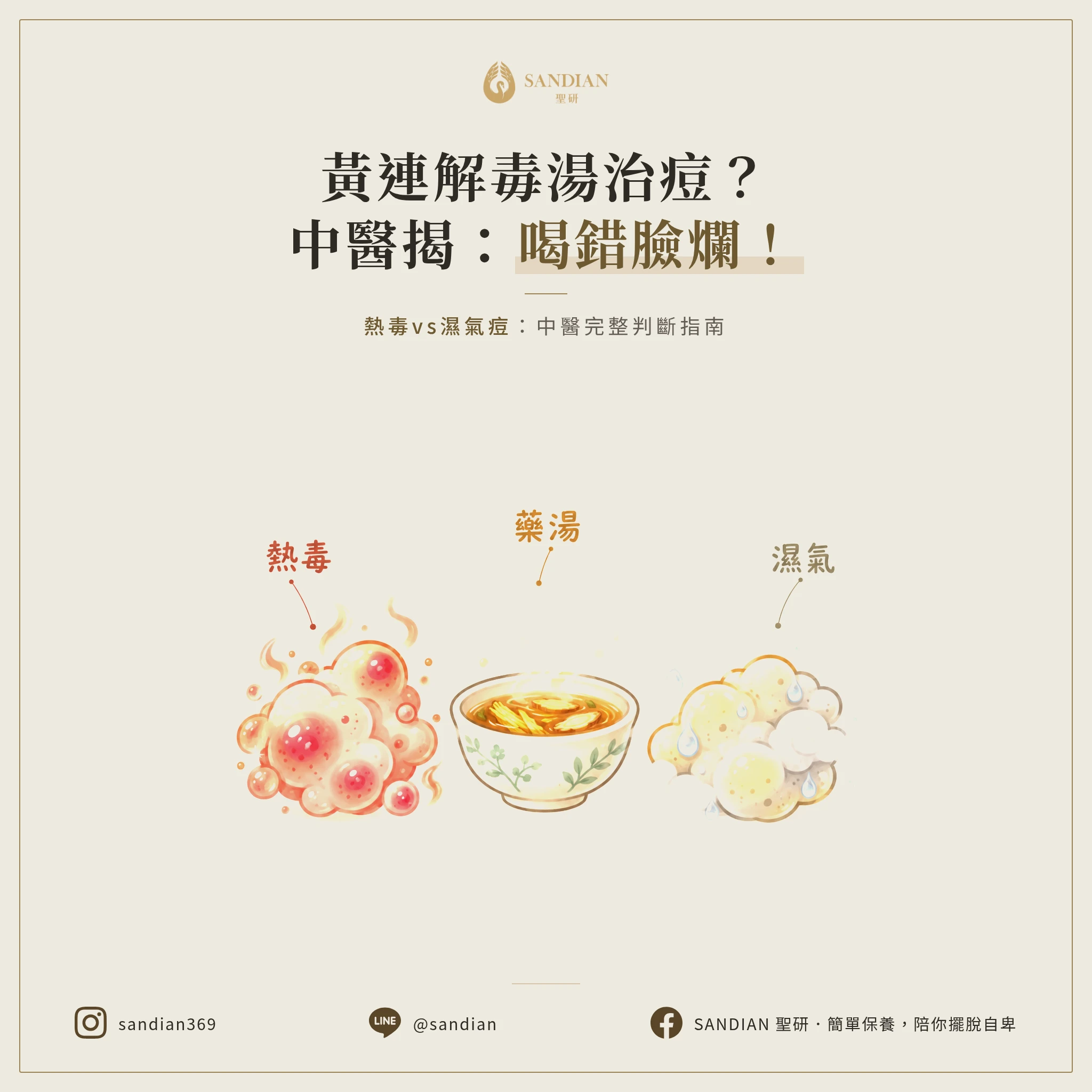 黃連解毒湯治痘痘？中醫師揭露：喝錯體質臉爛更快！熱毒vs濕氣痘完整判斷指南