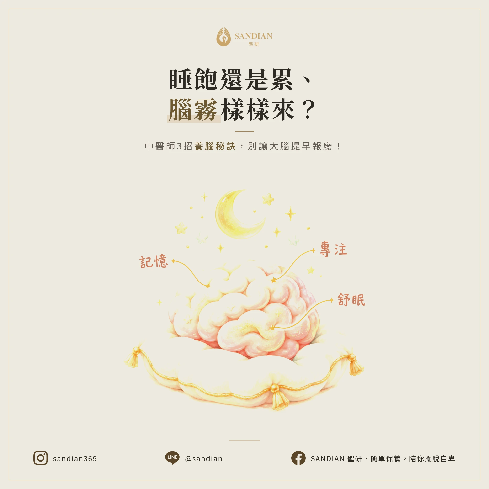 睡飽還是累、腦霧樣樣來？中醫師3招養腦秘訣，別讓大腦提早報廢！