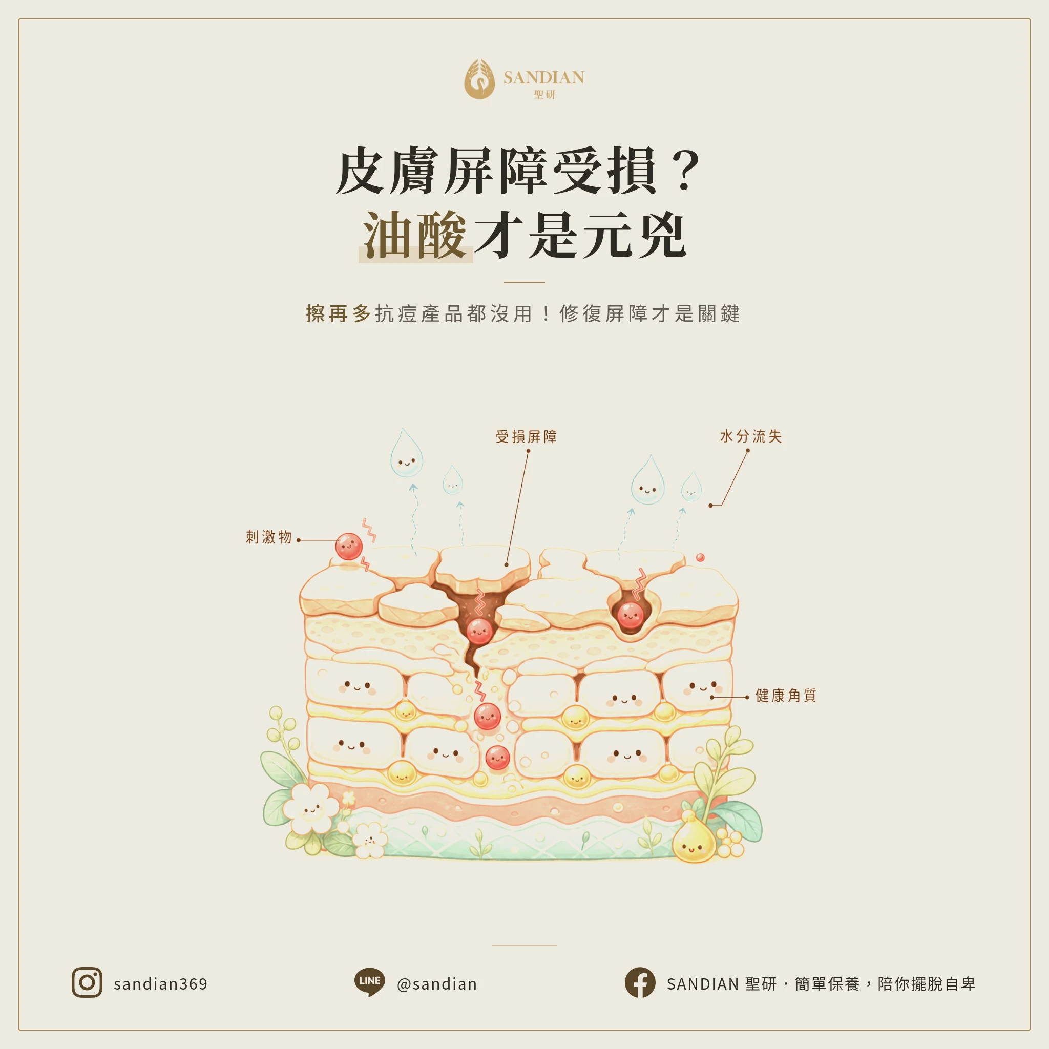皮膚屏障受損？擦再多抗痘產品都沒用！油類精華、刷酸才是元兇
