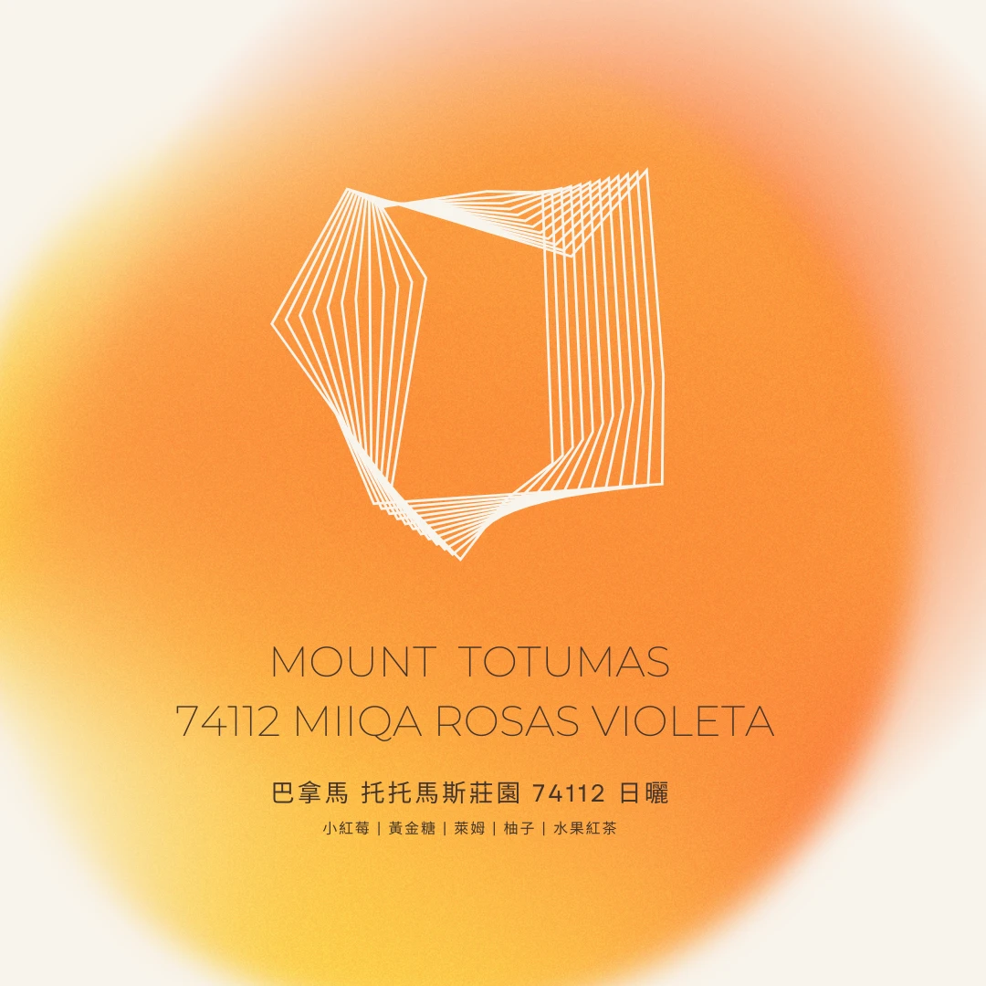 托托馬斯莊園 / 羅莎的紫羅蘭 / 日曬
