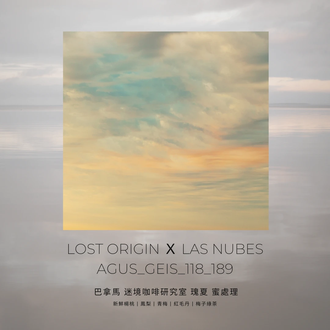 迷境咖啡研究室 x 雲霧農場 / 瑰夏 蜜處理