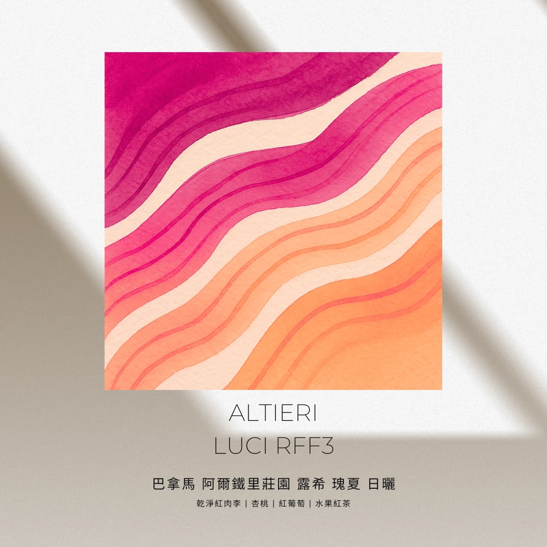 阿爾鐵里莊園 / 露西地塊 / RFF冷泉發酵  / 瑰夏 日曬