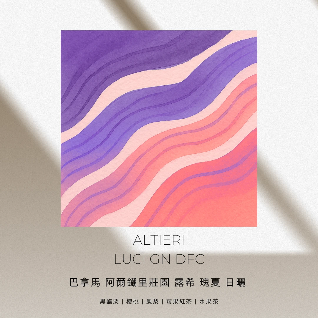 阿爾鐵里莊園 / 露西地塊 / DFC冷房乾燥 / 瑰夏 日曬