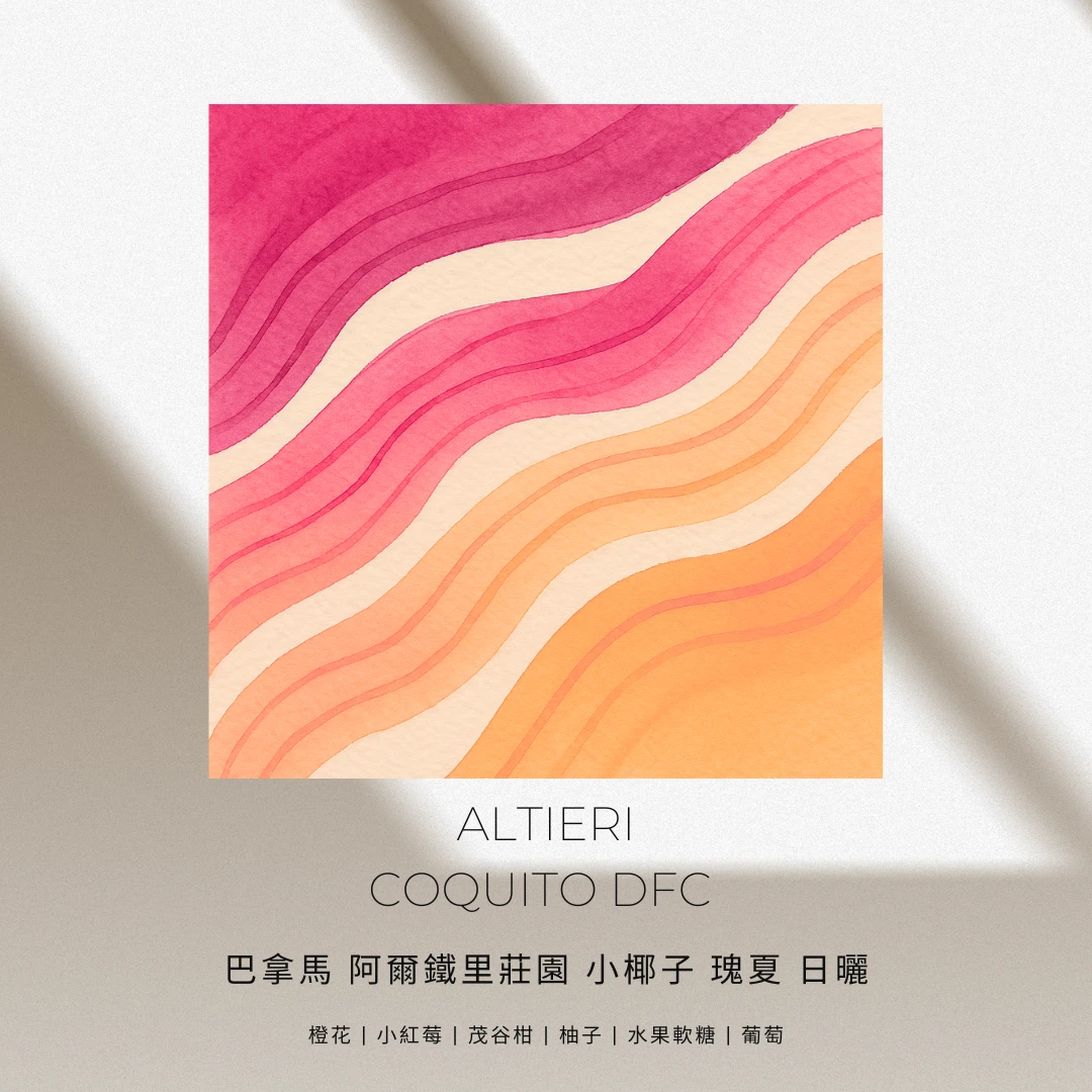 阿爾鐵里莊園 / 小椰子地塊 / 瑰夏 日曬