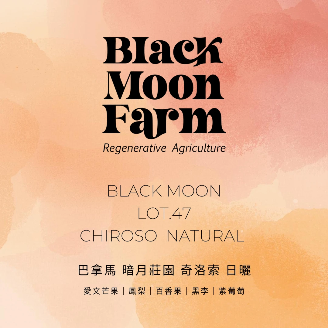暗月莊園 / LOT.47 / 奇洛索 日曬