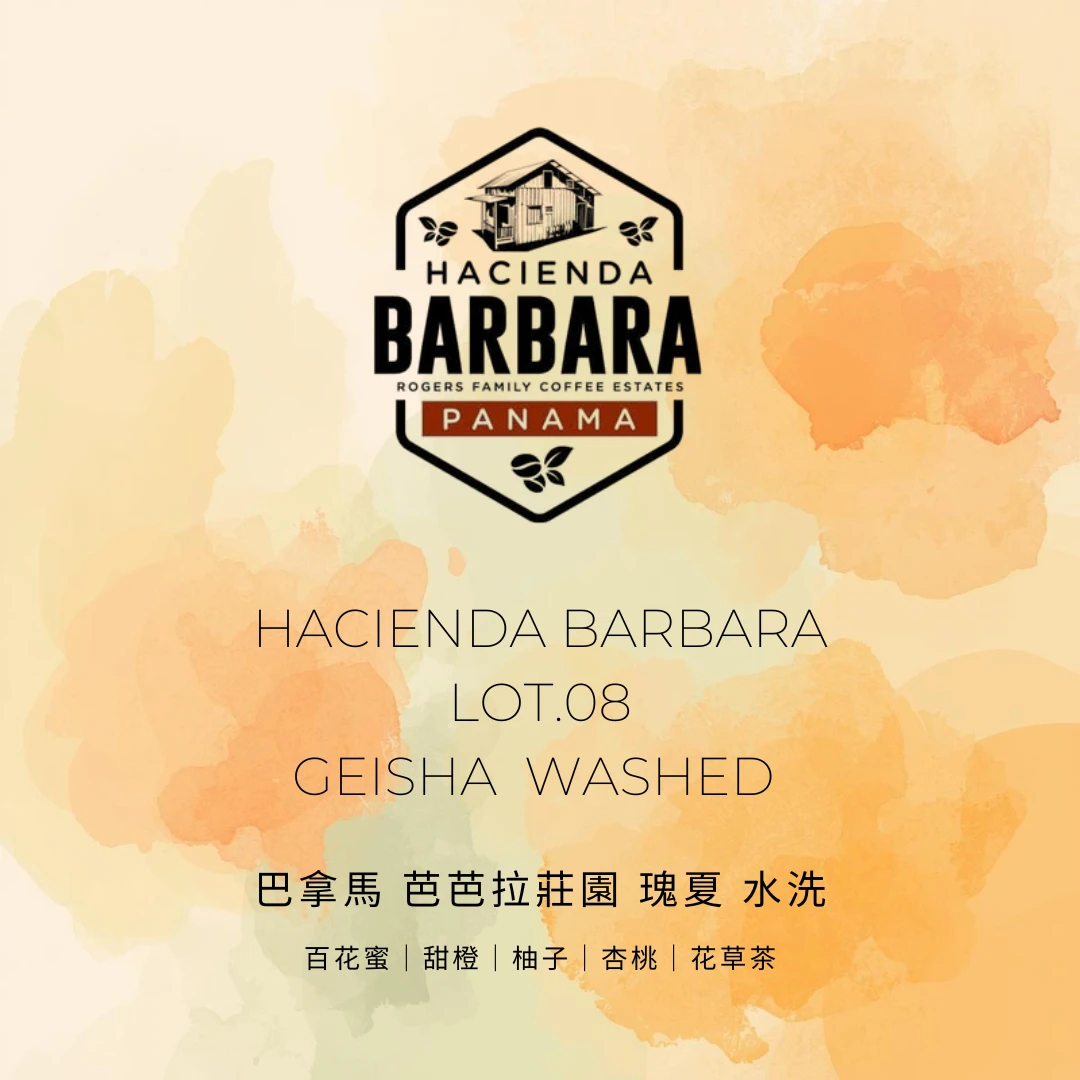 芭芭拉莊園 / LOT.08 / 瑰夏 水洗