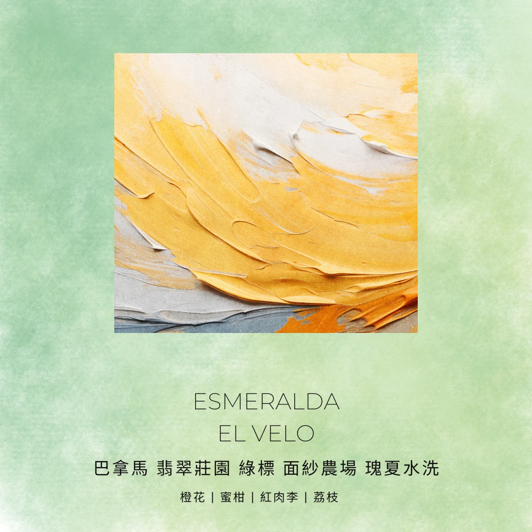 翡翠莊園綠標瑰夏TUMAZ 黑熊咖啡