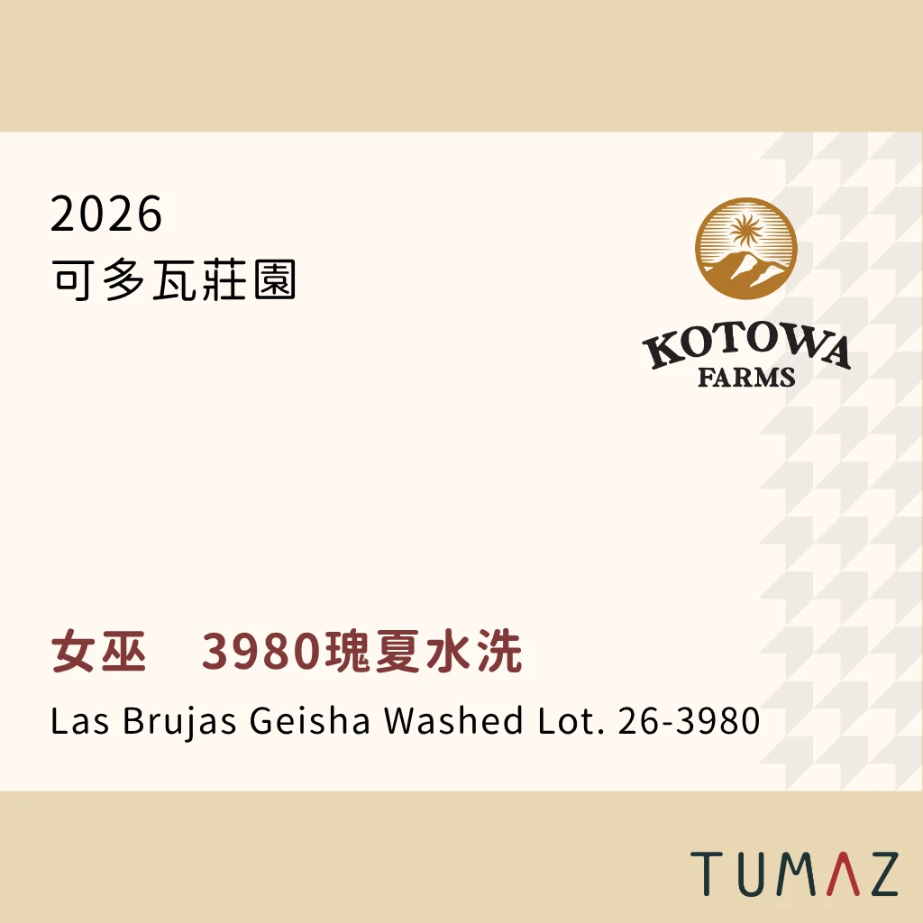 【現烘】 可多瓦莊園 / 女巫 / 3980瑰夏水洗