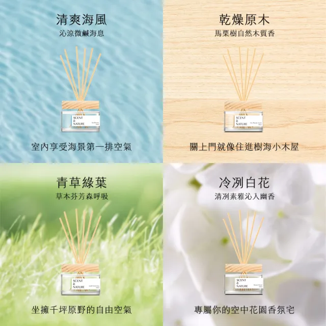 [去味大師]竹木香擴香-清爽海風、冷冽白花、乾燥原木、青草綠葉 100ml