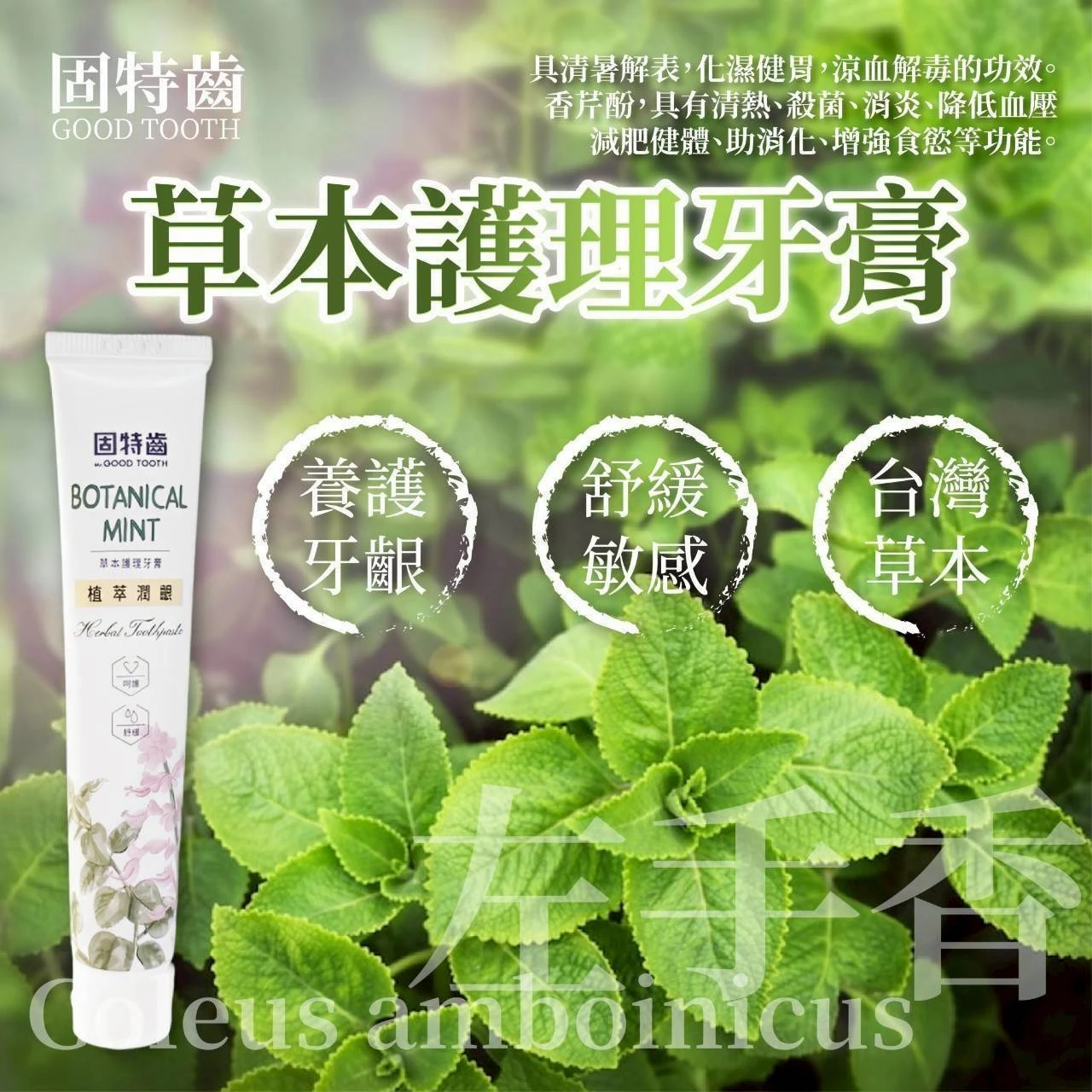 MIT左手香天然護理牙膏2條免運