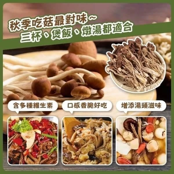 【樹家】台灣茶樹菇乾3包以上免運特惠組