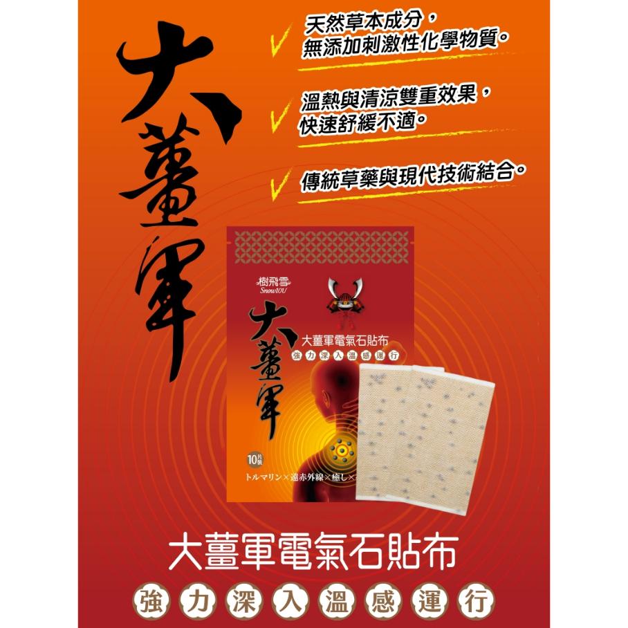 樹飛雪 大薑軍 電氣石貼布 10片/包