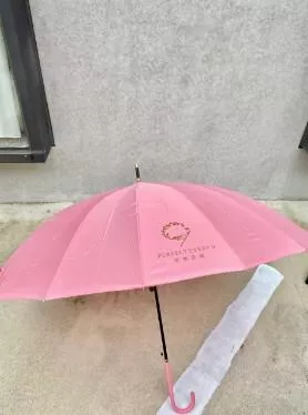 PE9 品牌16骨抗強風晴雨兩用傘