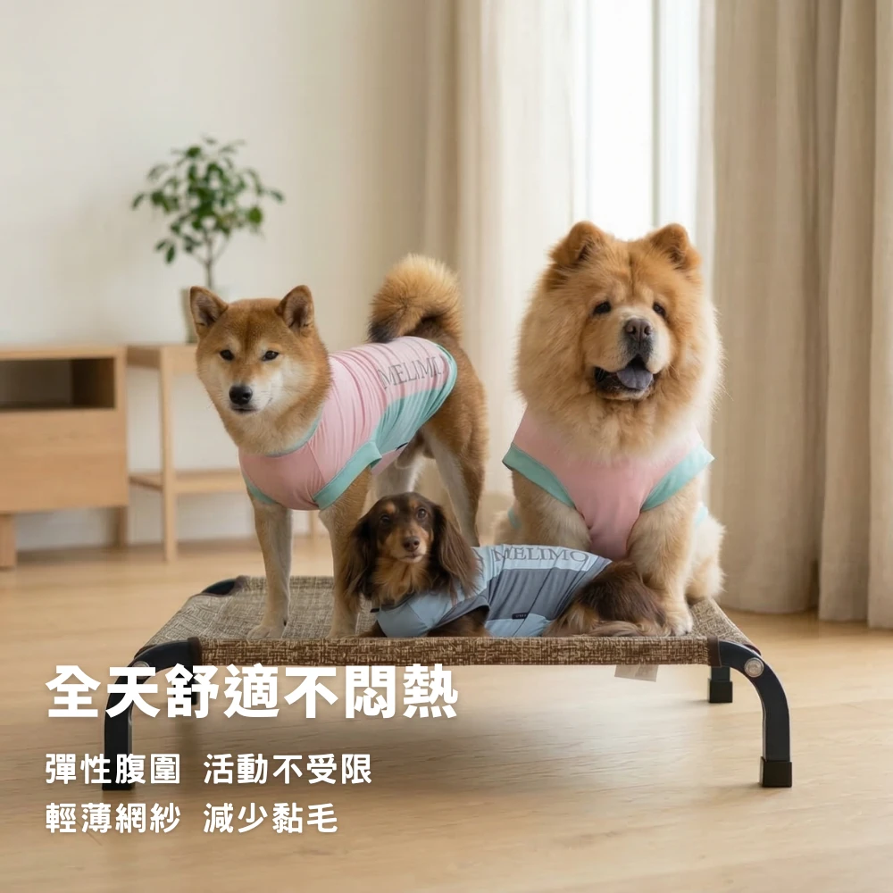多犬種穿著 MELIMO 涼感衣-柴犬、臘腸、鬆獅犬示範