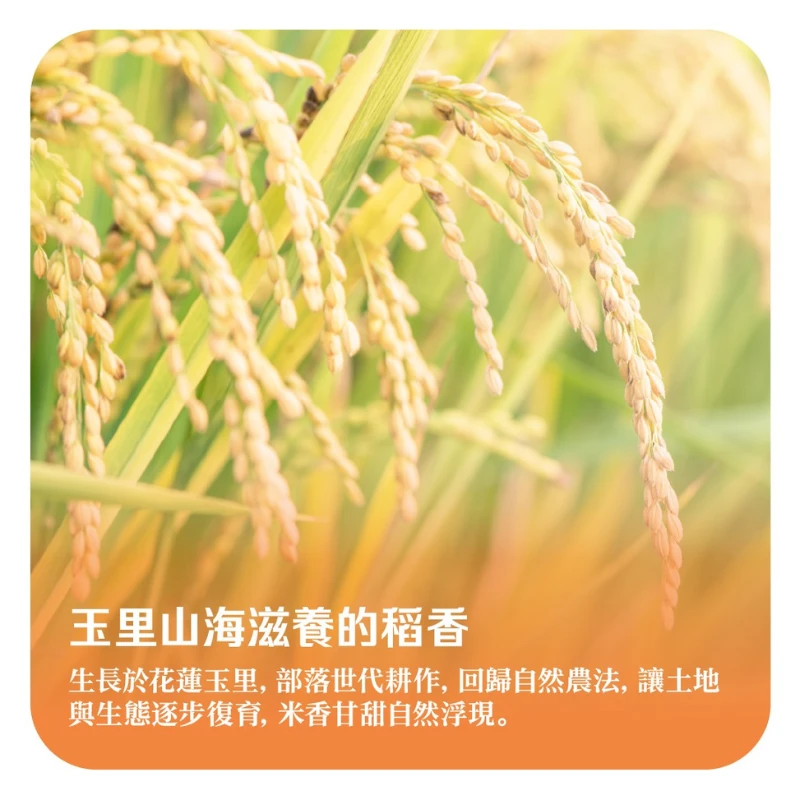 花蓮玉里 五穀黃金山水米 (500g)