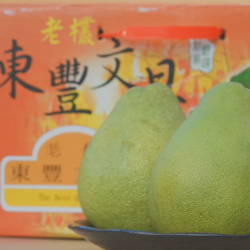 扎勞‧馬耀果園 東豐文旦禮盒（10台斤）