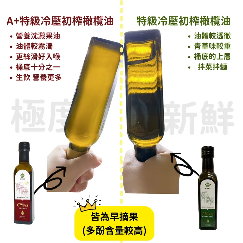 【飲用油】250ml A+特級冷壓初榨橄欖油-2026早摘果精華