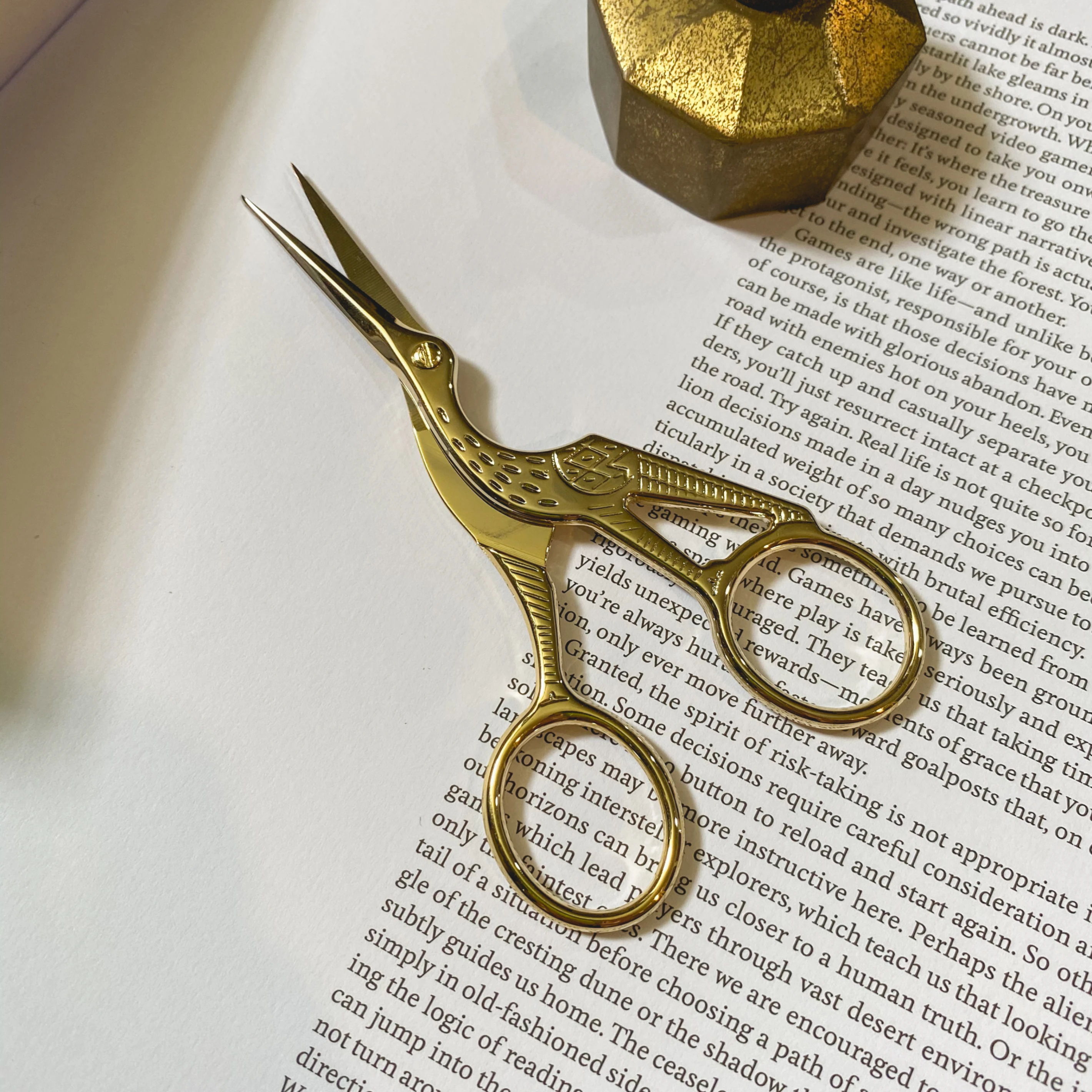 金色鳥鳥小剪刀