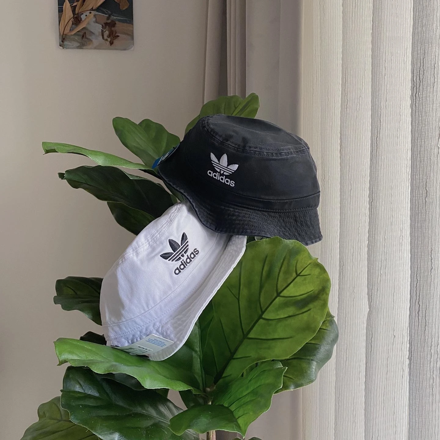 [Holmes]ADIDAS 三葉草 帆布 漁夫帽 大LOGO刺繡