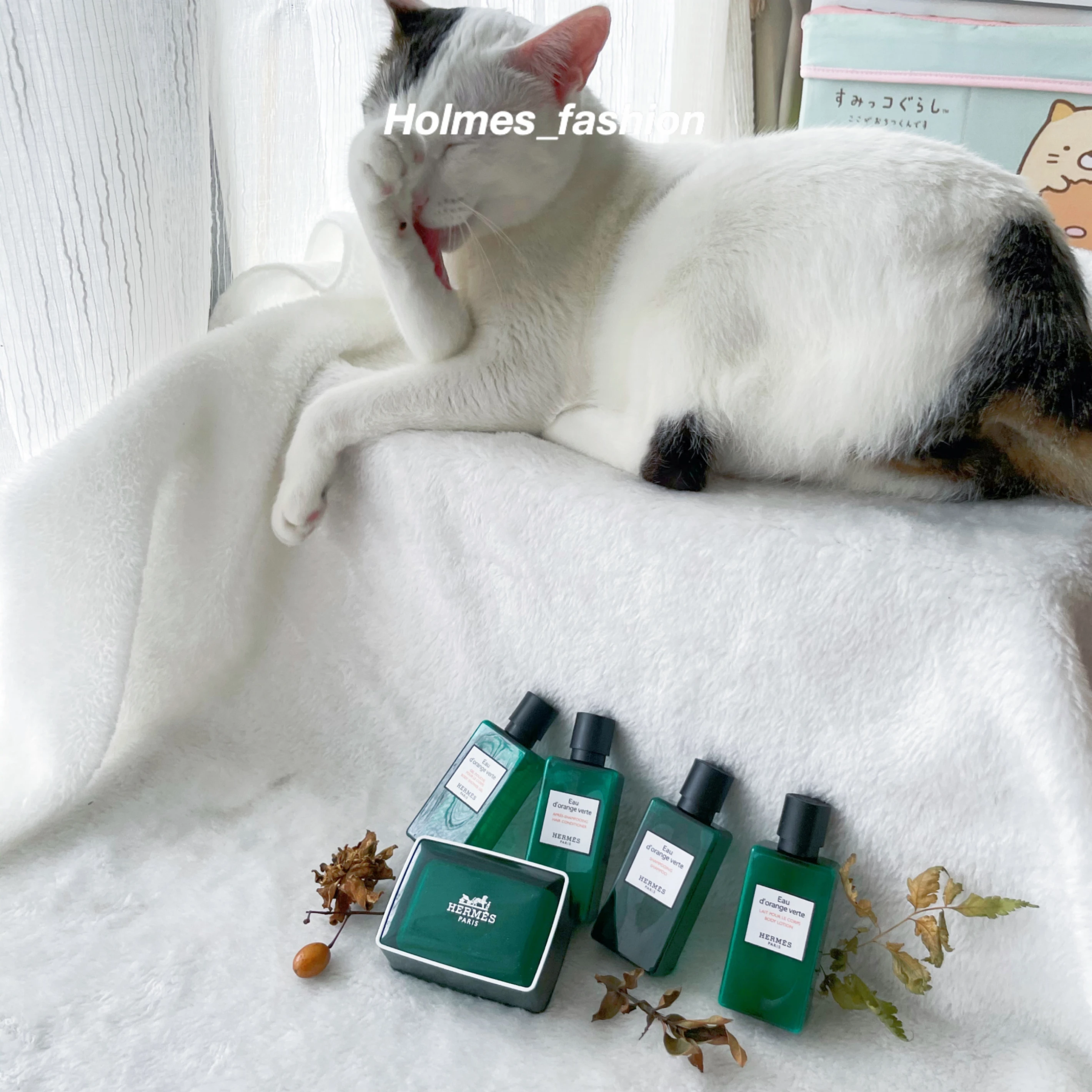[Holmes]Hermés 愛馬仕 橘綠之泉洗沐四件組 旅行組 40ML