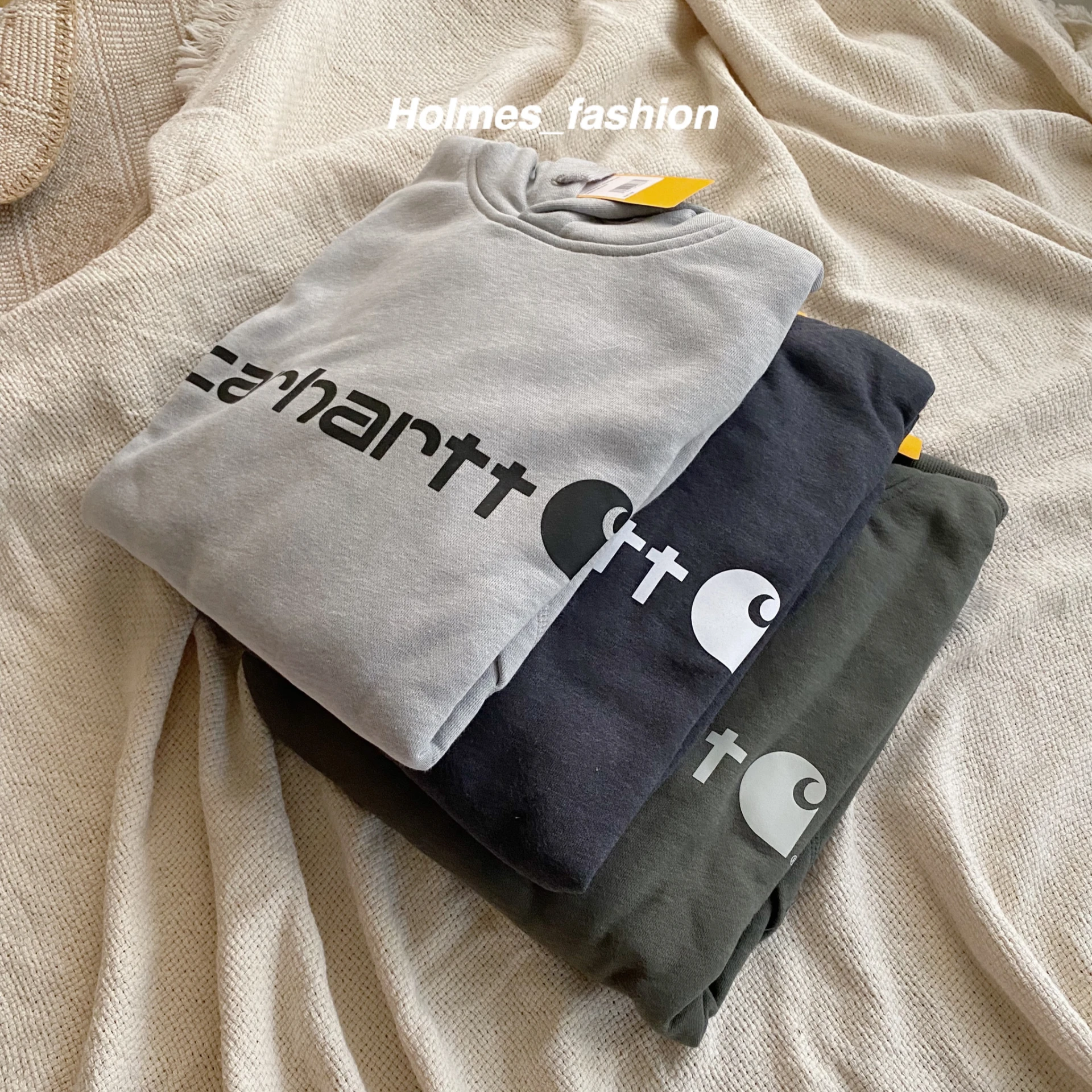 [Holmes]Carhartt Force:registered: Delmont Hoodie 帽T 帽踢 103873 軍綠 / 灰色 / 深藍 / 黑色 (預購)