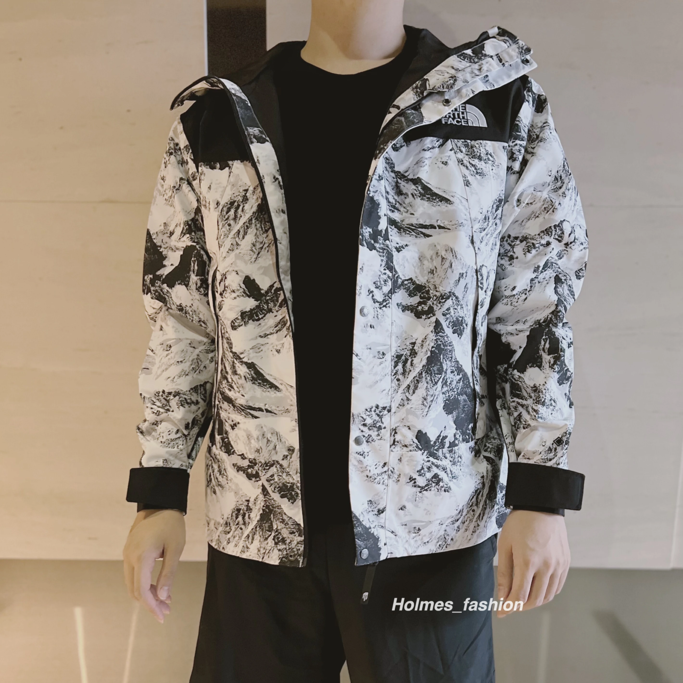 [Holmes]THE NORTH FACE NOVELTY ECO GTX MOUNTAIN 雪山 連帽外套 NJ2GN60B