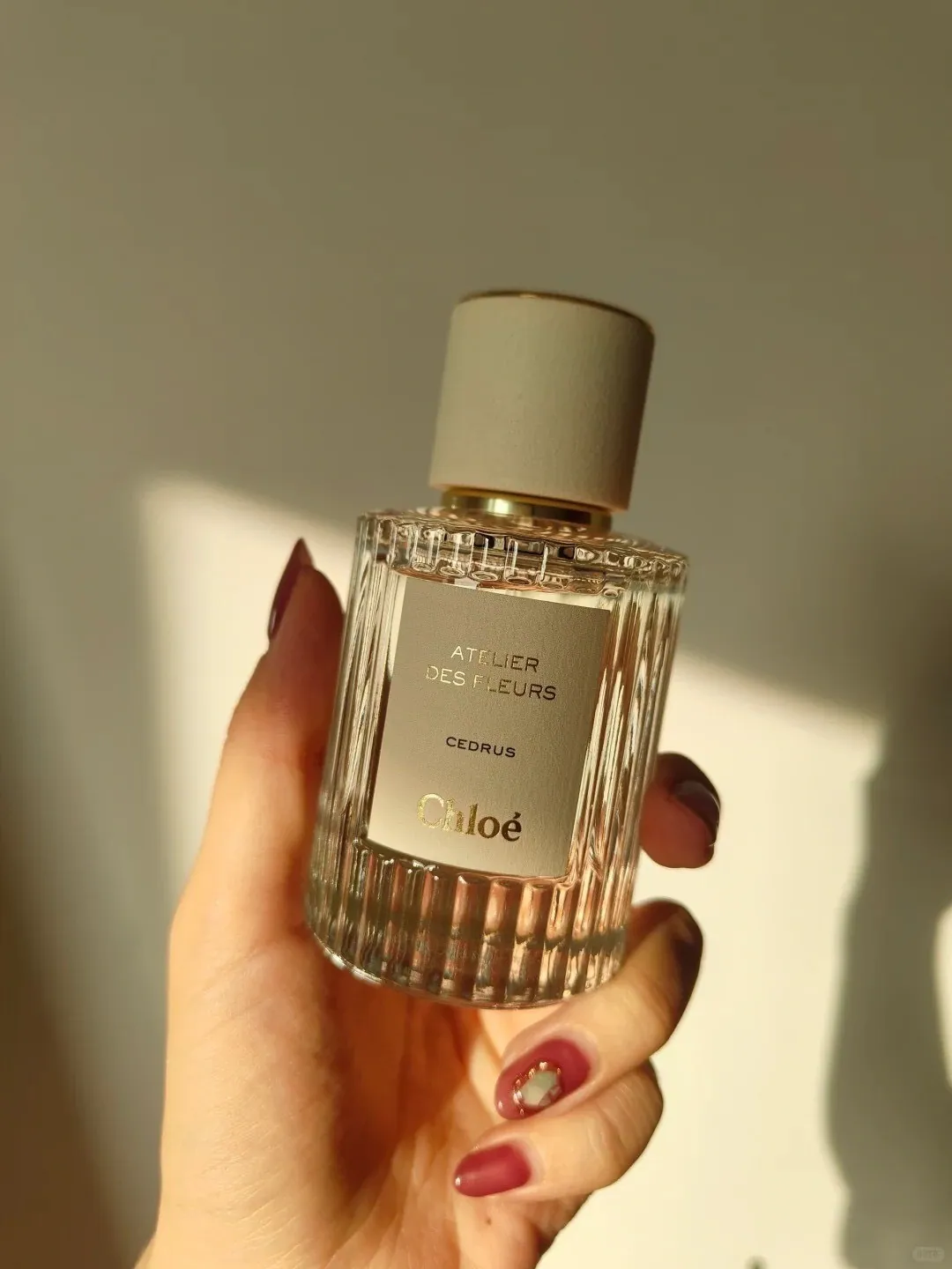 HOLMES | CHLOE Cedrus 仙境花園系列淡香精 EDP 50ml #北國雪松 蔻依