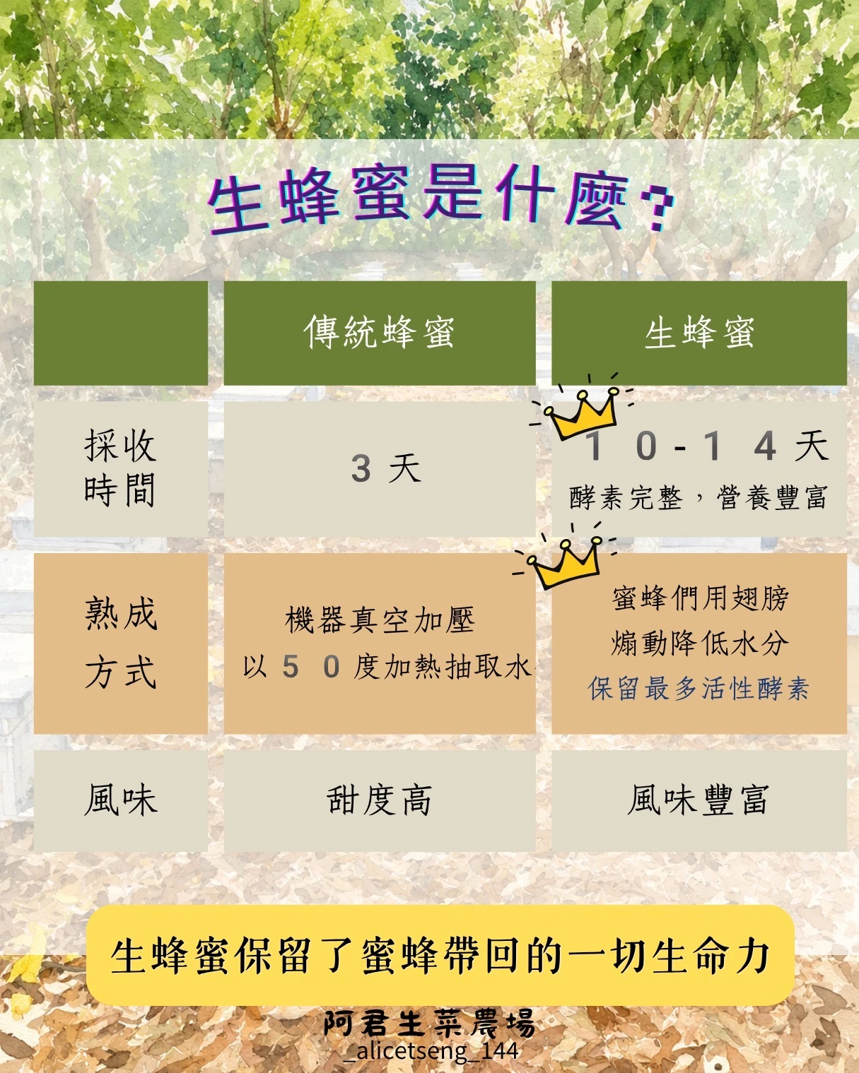 自然熟成封蓋蜜~甲級龍眼生蜂蜜