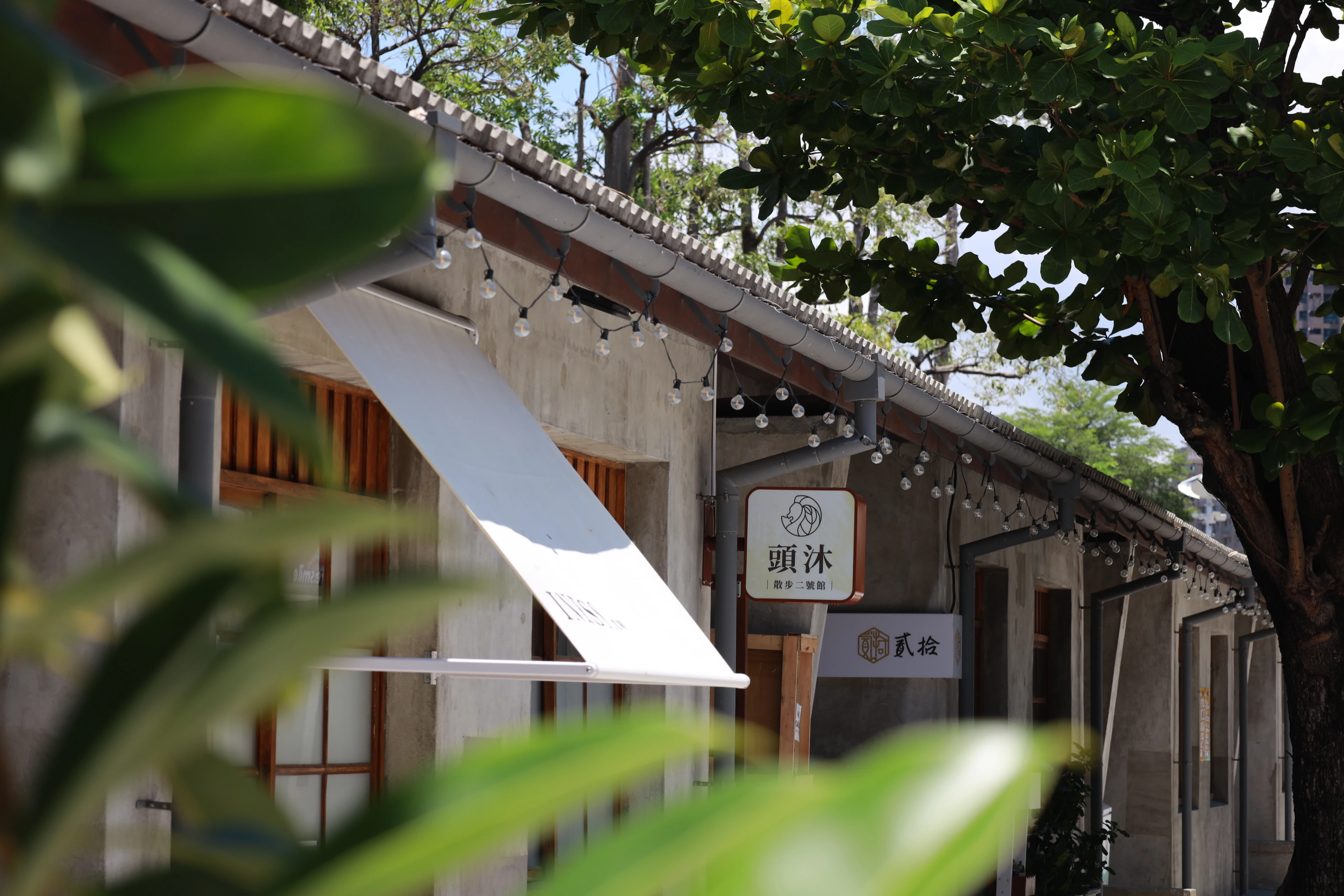 頭沐草本養護染｜在躁動的時代，給頭皮一場植萃身心饗宴